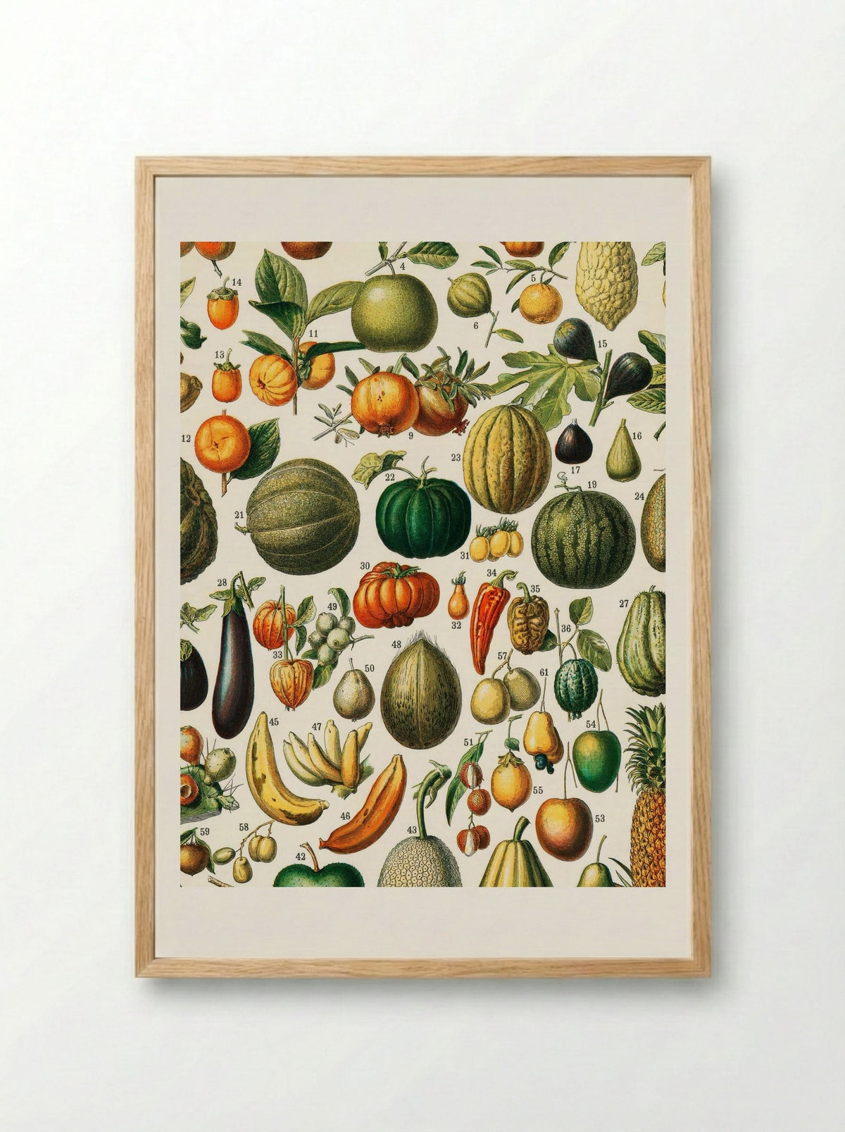 Fruits (from Nouveau Larousse Illustré) - Adolphe Millot - Framed Print Wood