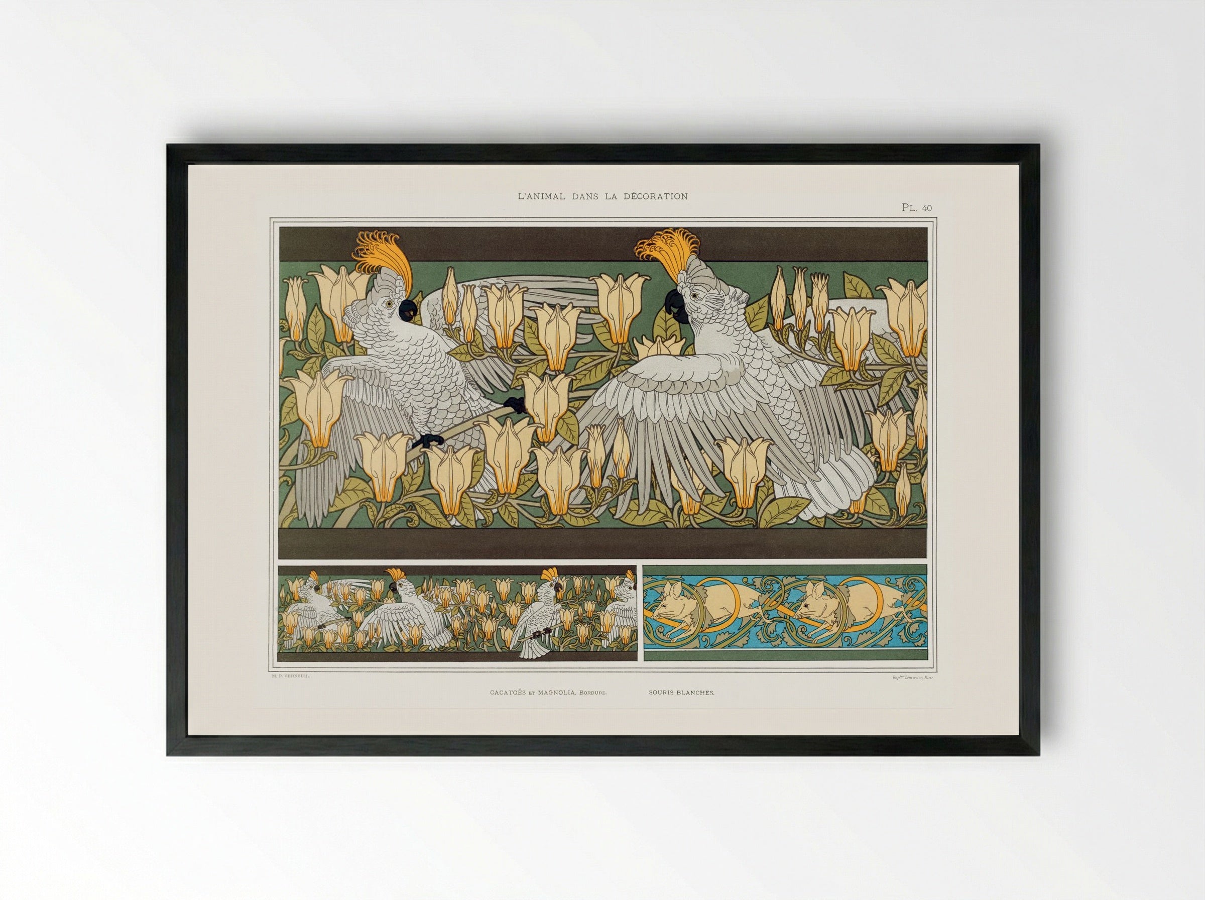 Cacatoès et Magnolia, Bordure; Souris Blanches - Maurice Pillard Verneuil - Framed Print Black