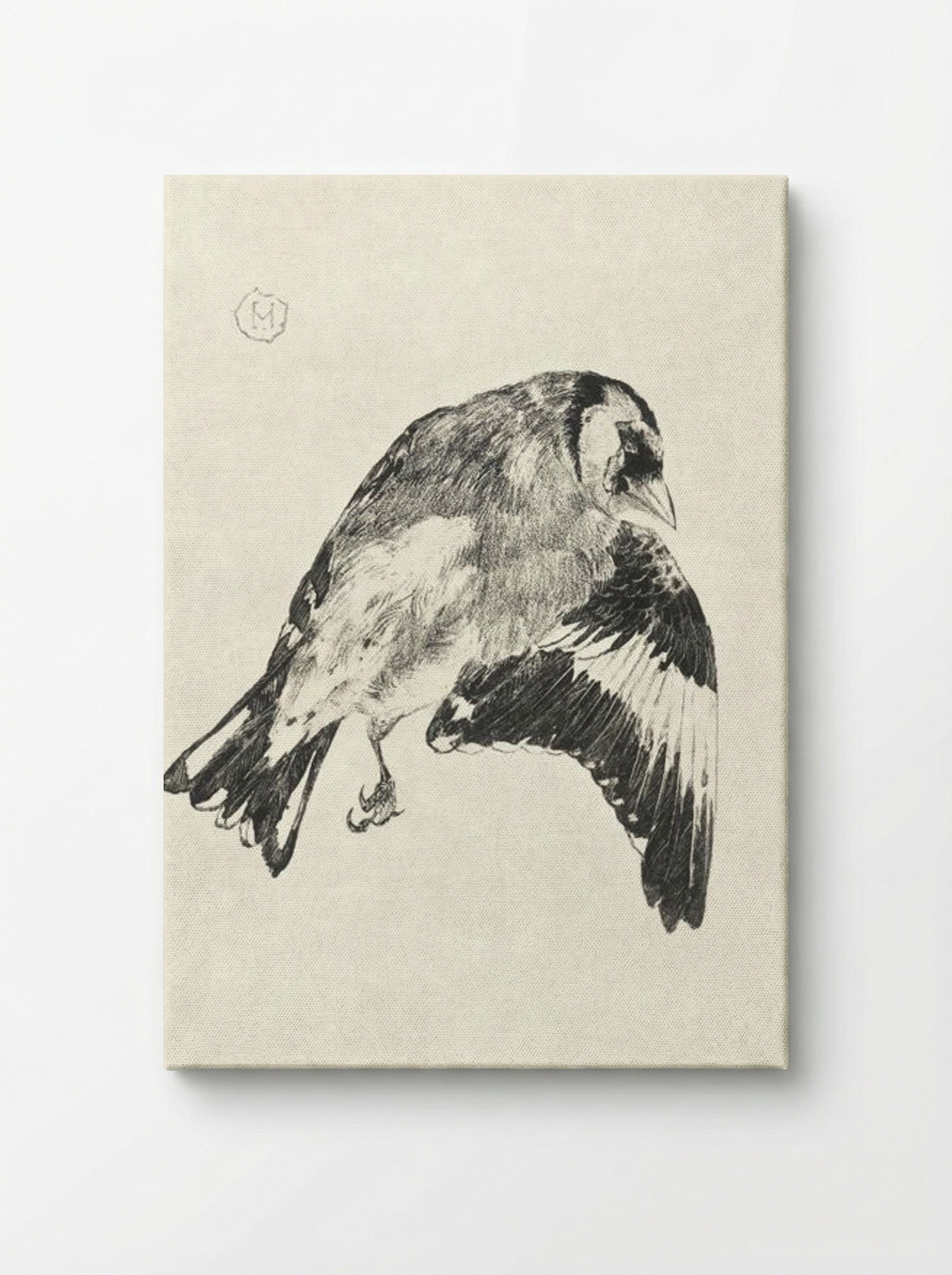 Goldfinch (Study of a Bird in Flight) - Theo van Hoytema - Canvas