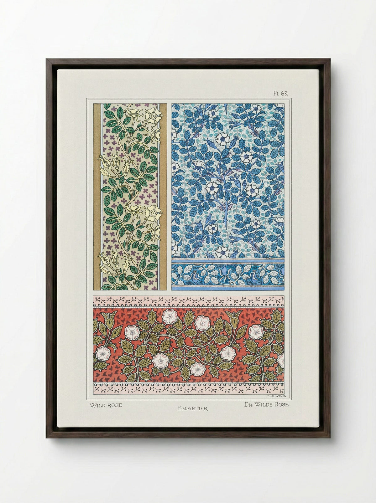 Eglantier (Wild Rose) from La Plante et ses Applications ornementales - Maurice Pillard Verneuil - Framed Canvas Dark Wood