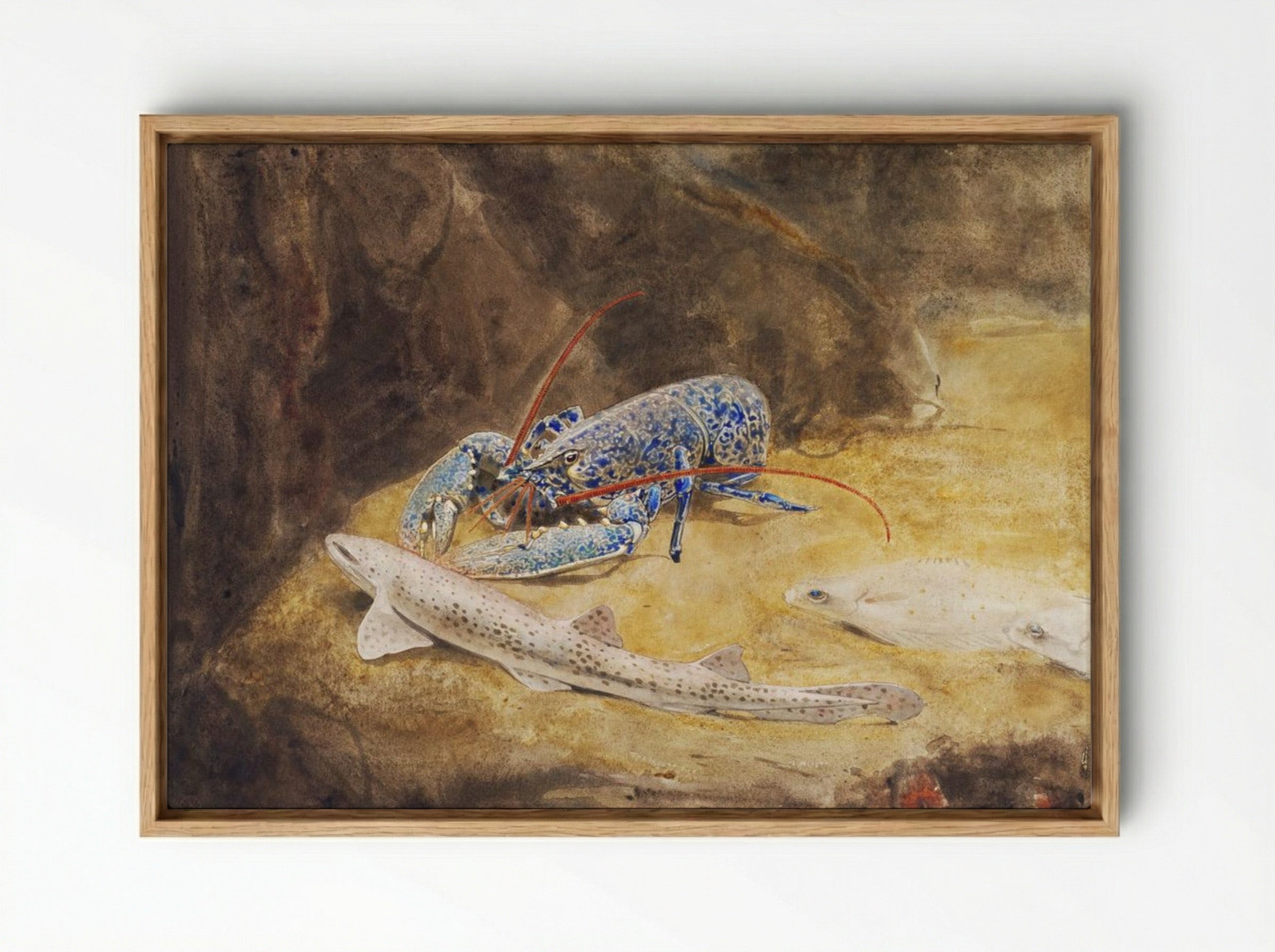 Aquarium with Three North Sea Fish, Lobster, Dogfish and Plaice - Gerrit Willem Dijsselhof - Framed Canvas Wood