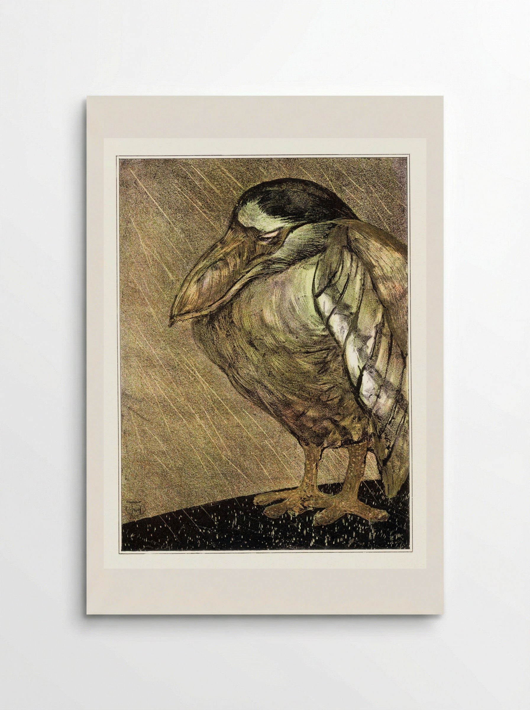 Schuitbekreiger in de regen (Night Heron in the Rain) - Theodorus van Hoytema - Poster