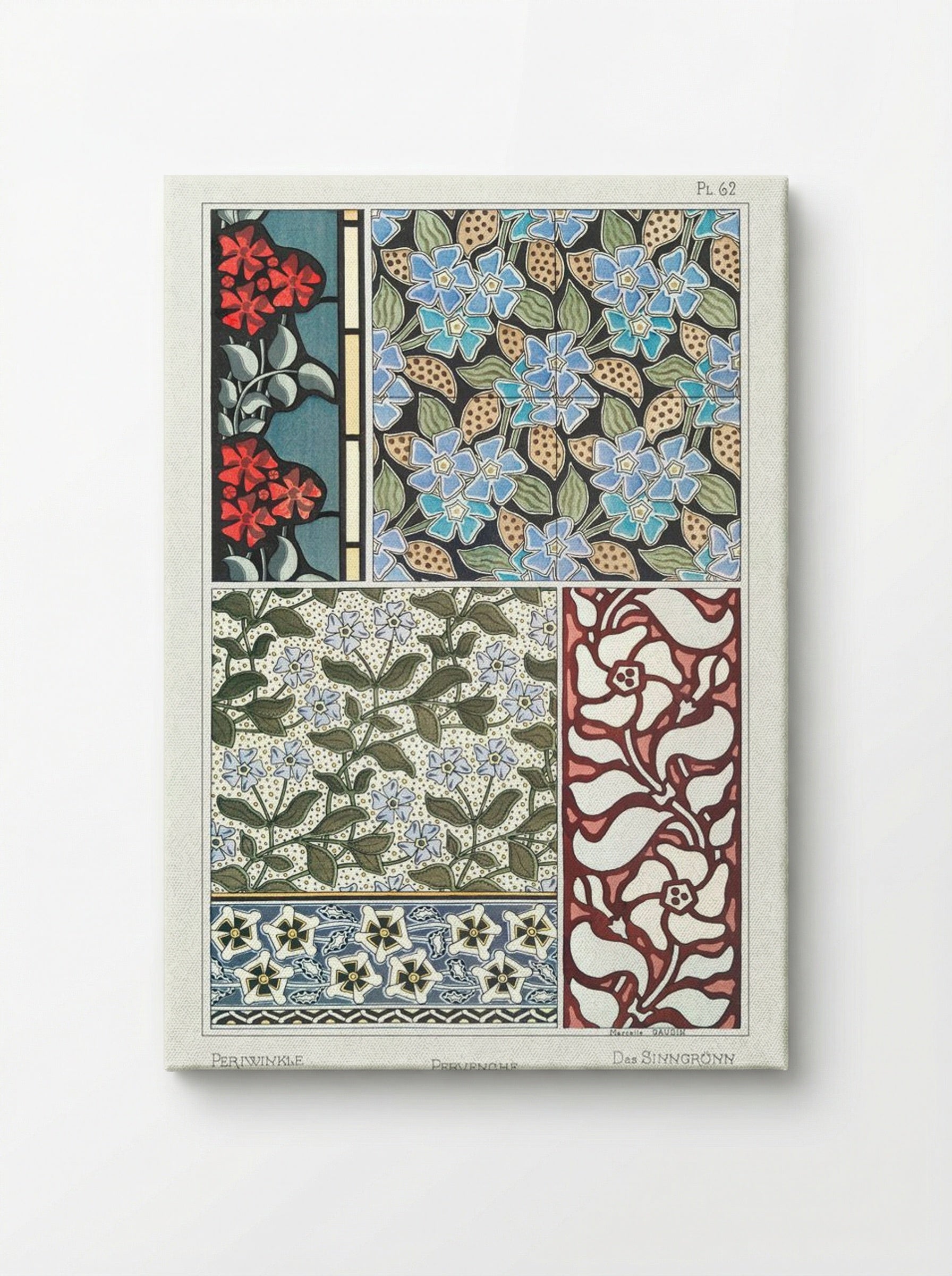 Pervenche (Periwinkle) from La Plante et ses Applications ornementales - Maurice Pillard Verneuil - Canvas