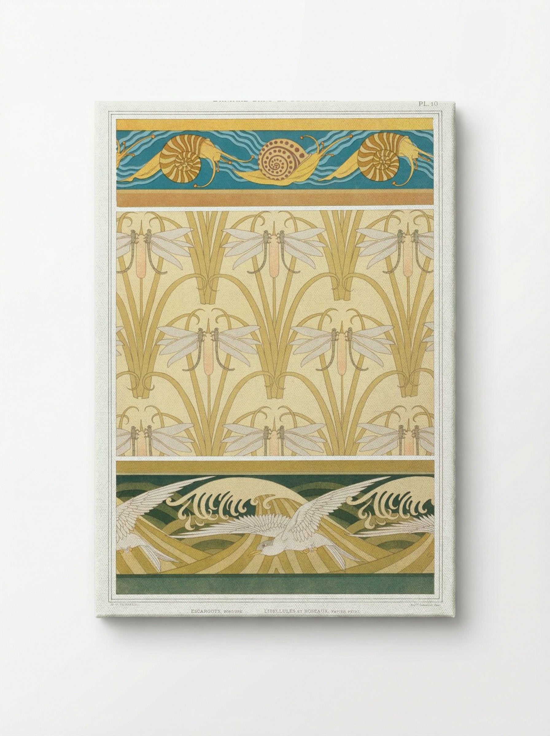 L'Animal dans la Décoration, Plate 10 (Snails, Dragonflies, Seagulls) - Maurice Pillard Verneuil - Canvas