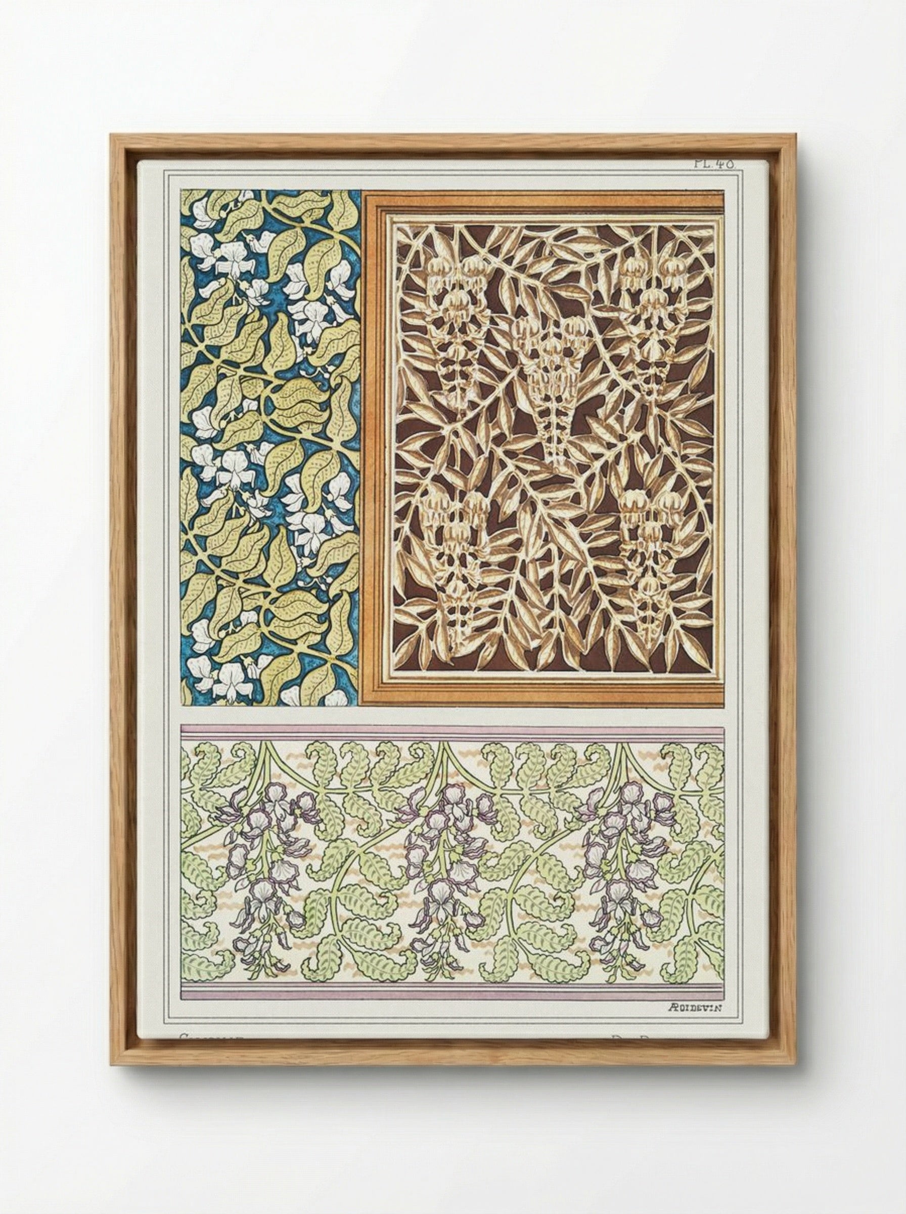 Glycine (Wisteria) from La Plante et ses Applications ornementales - Maurice Pillard Verneuil - Framed Canvas Wood