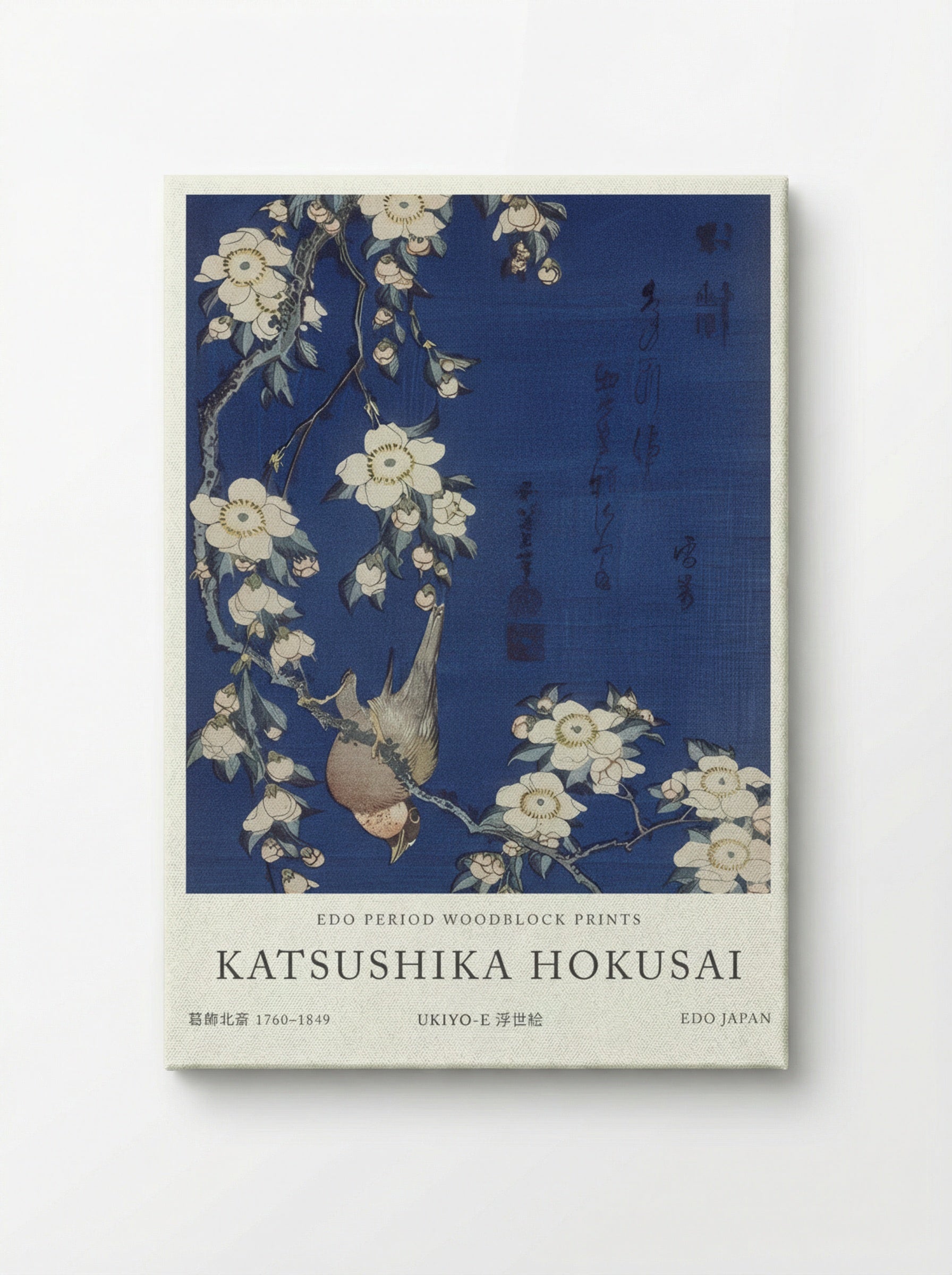 Bullfinch and Weeping Cherry Blossoms – Fine Art Print