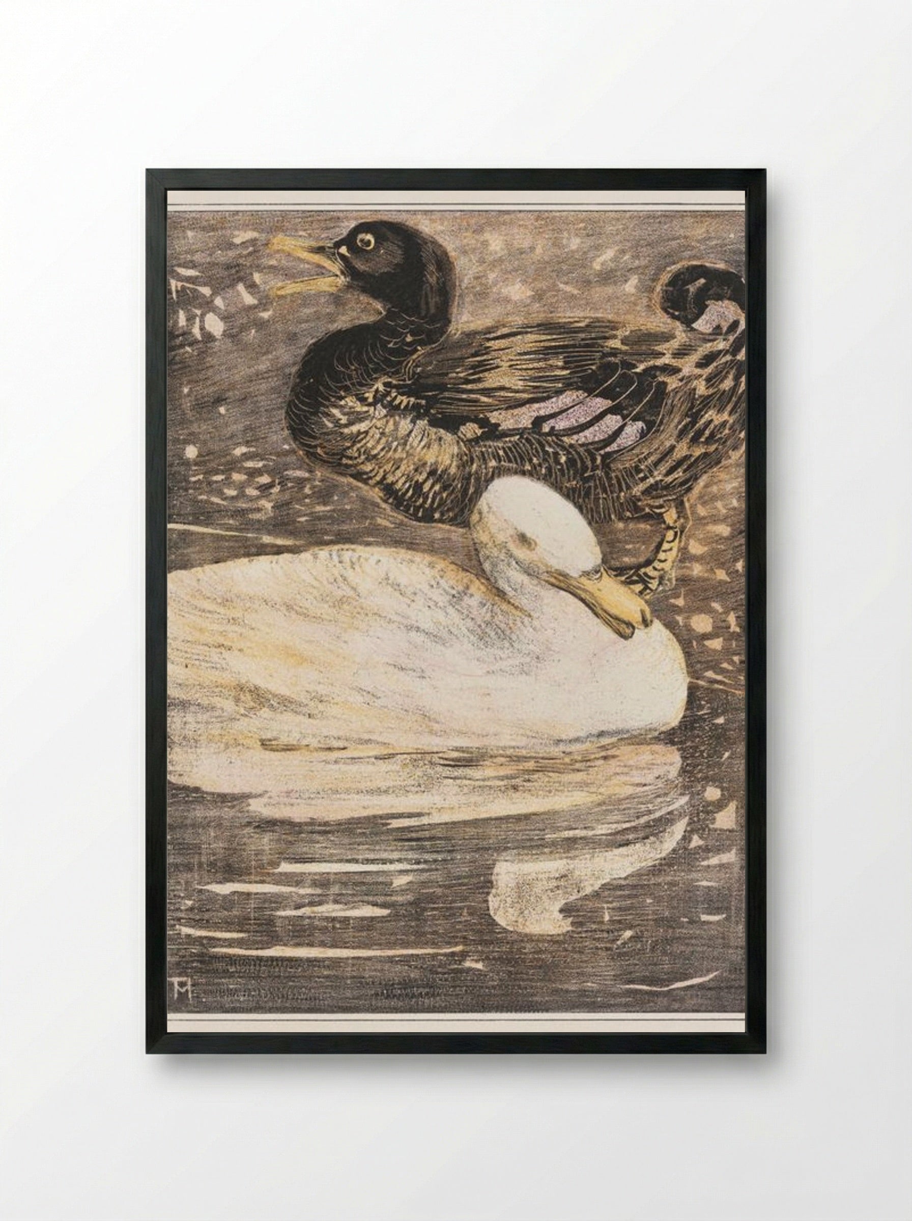 Two Ducks - Theo van Hoytema - Framed Print Black