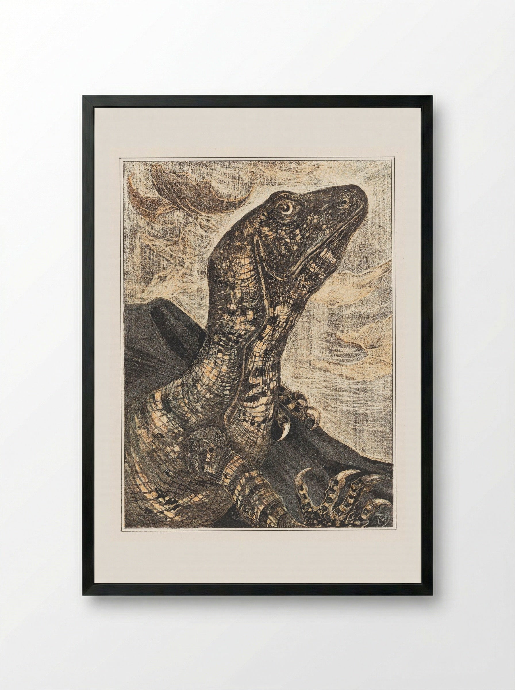 Leguaan (Monitor Lizard) - Theo van Hoytema - Framed Print Black