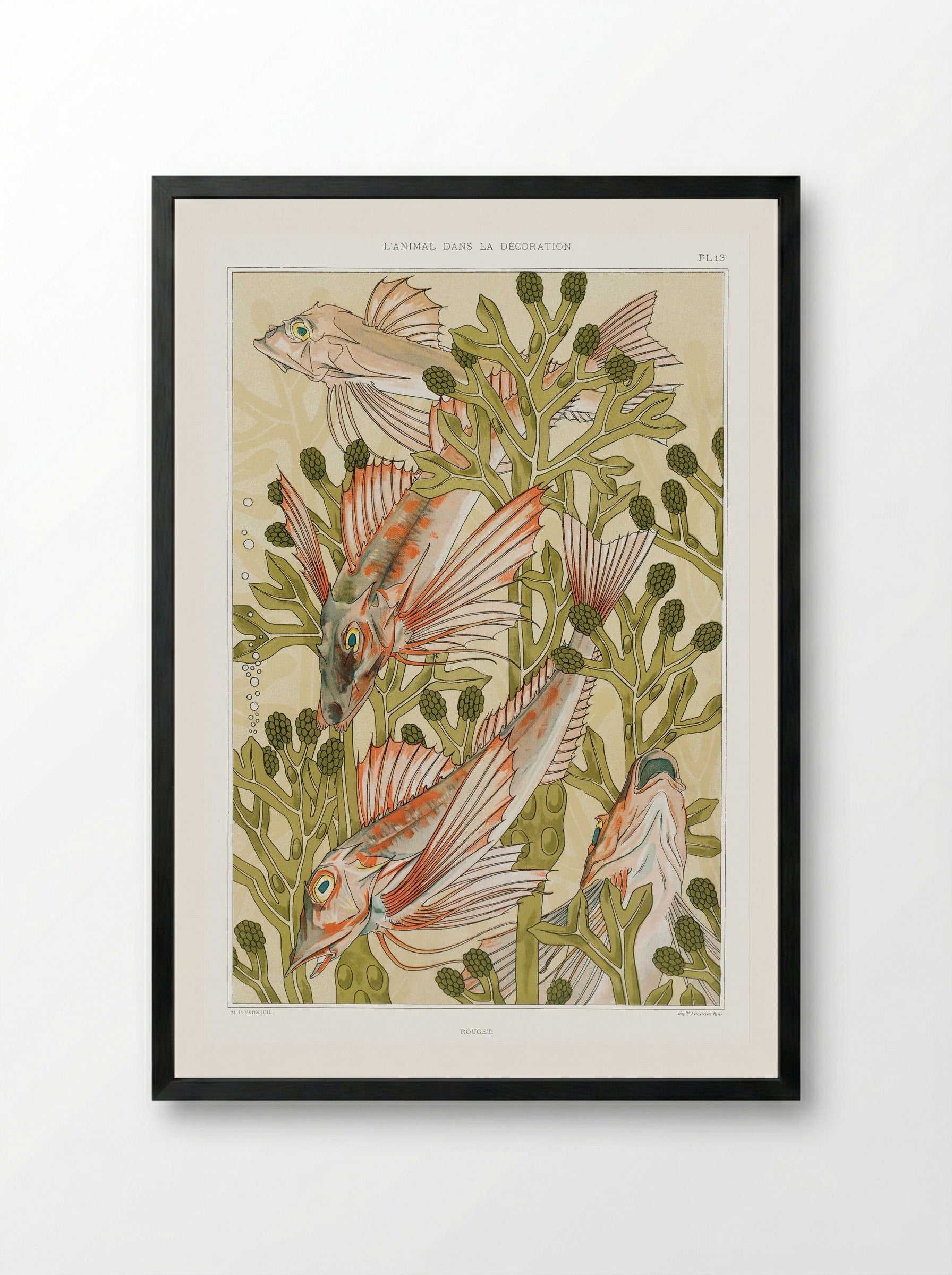 Rouget (From L'animal dans la décoration) - Maurice Pillard Verneuil - Framed Print Black