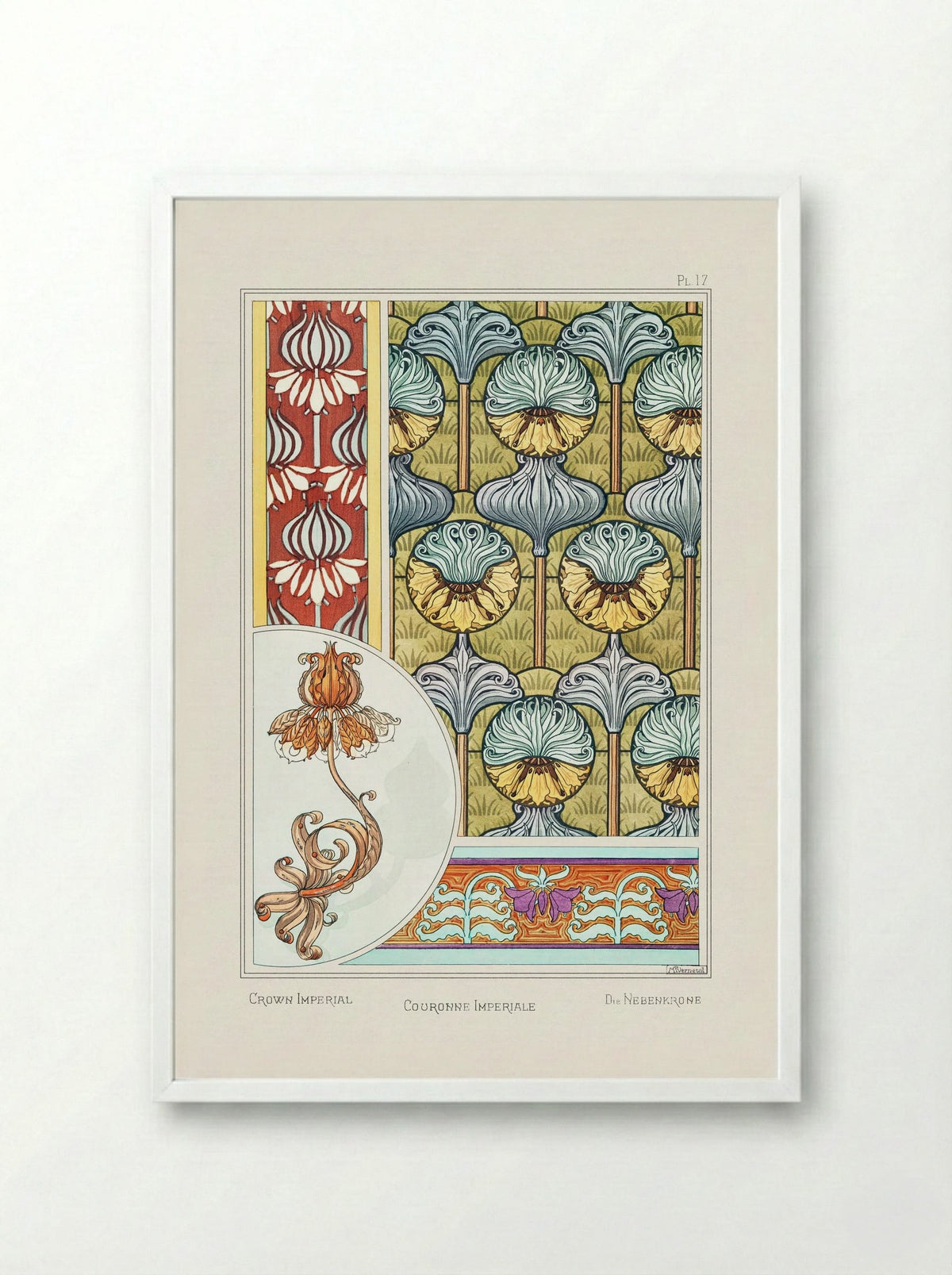 Couronne Impériale (Crown Imperial) from La Plante et ses Applications ornementales - Maurice Pillard Verneuil - Framed Print White