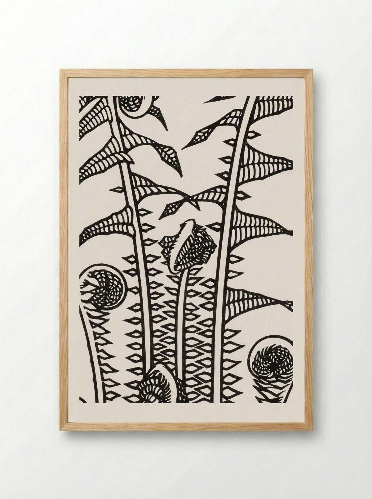 Ferns - Julie de Graag - Framed Print Wood