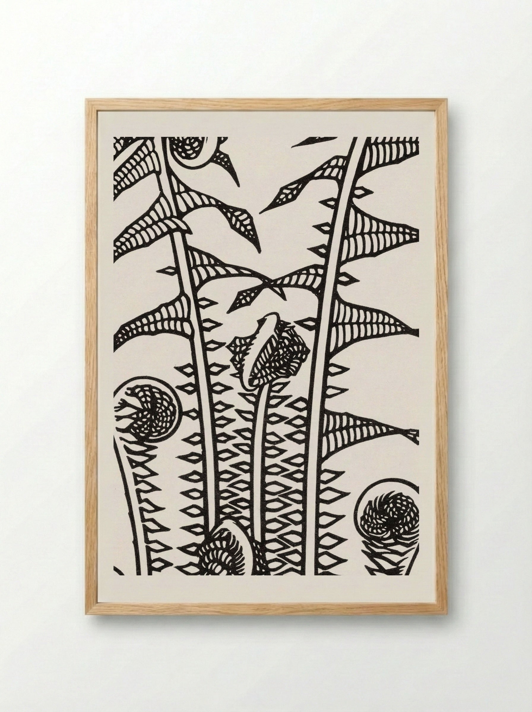 Ferns - Julie de Graag - Framed Print Wood