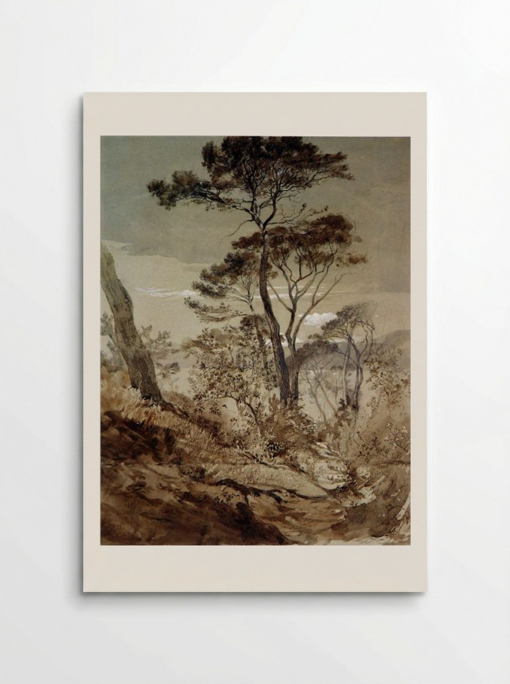 Stone Pines at Sestri - John Ruskin - Poster