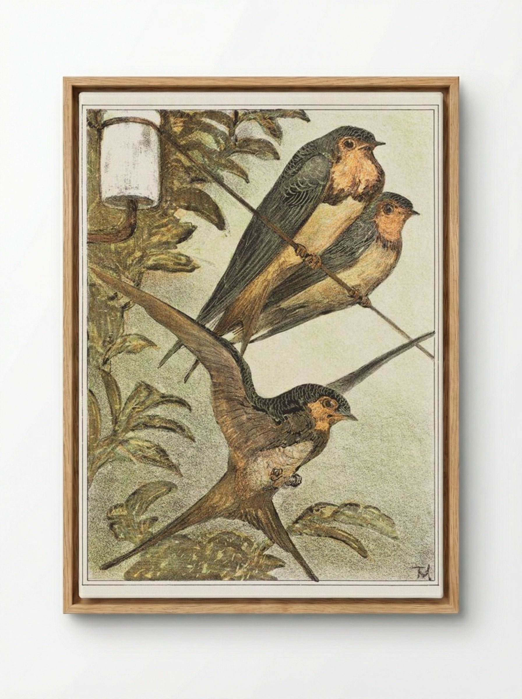 Drie zwaluwen (Three Swallows) - Theo van Hoytema - Framed Canvas Wood
