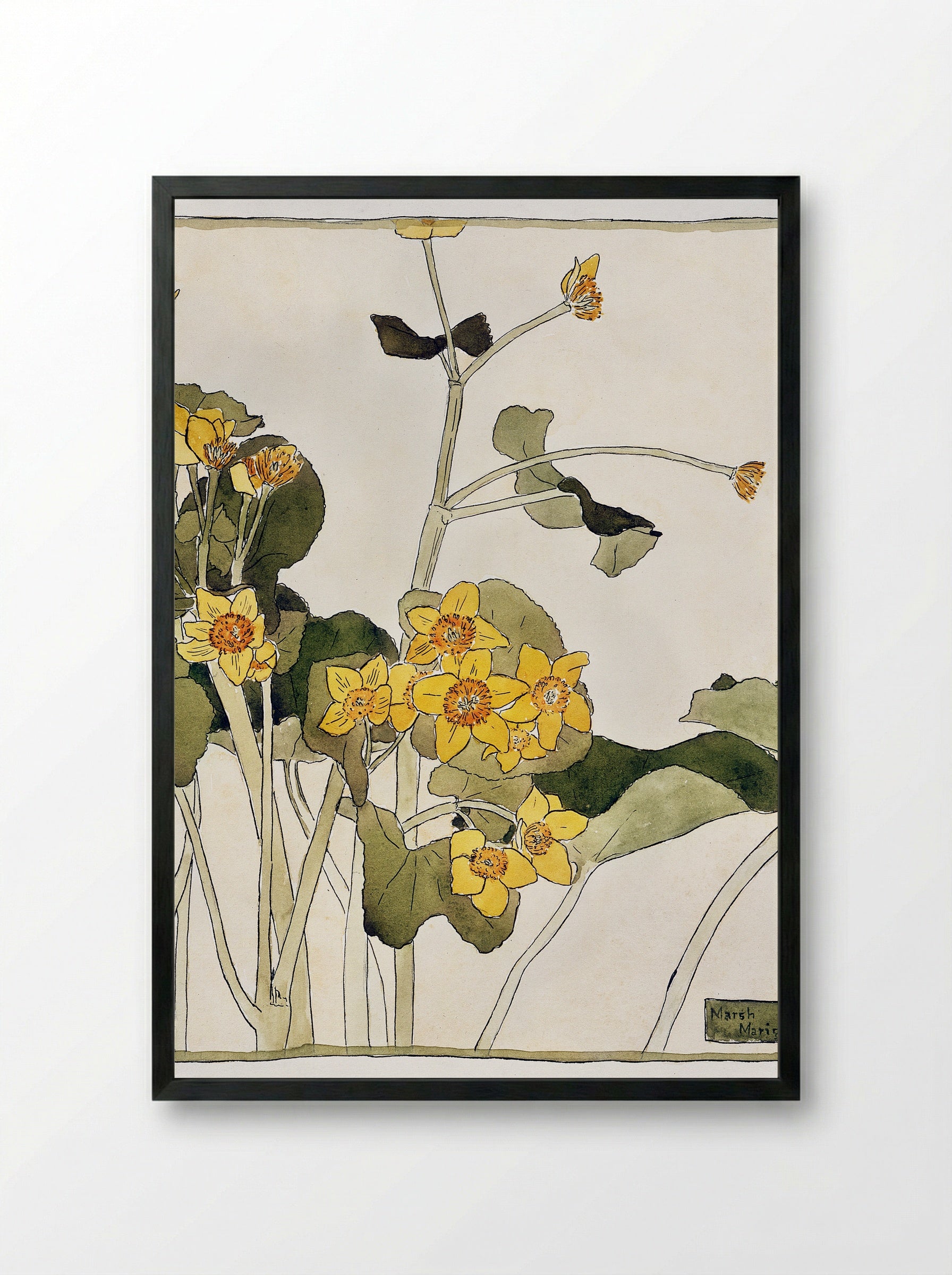 Marsh Marigold (1915) - Hannah Borger Overbeck - Framed Print Black