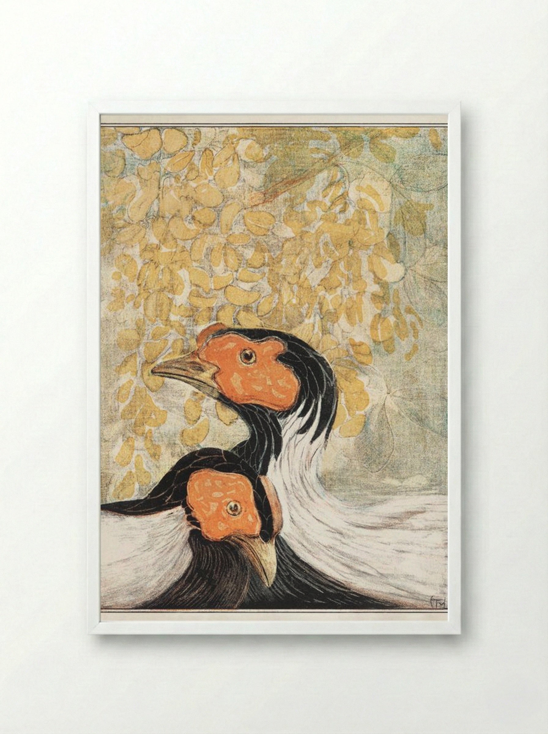 Two Silver Pheasants - Theo van Hoytema - Framed Print White