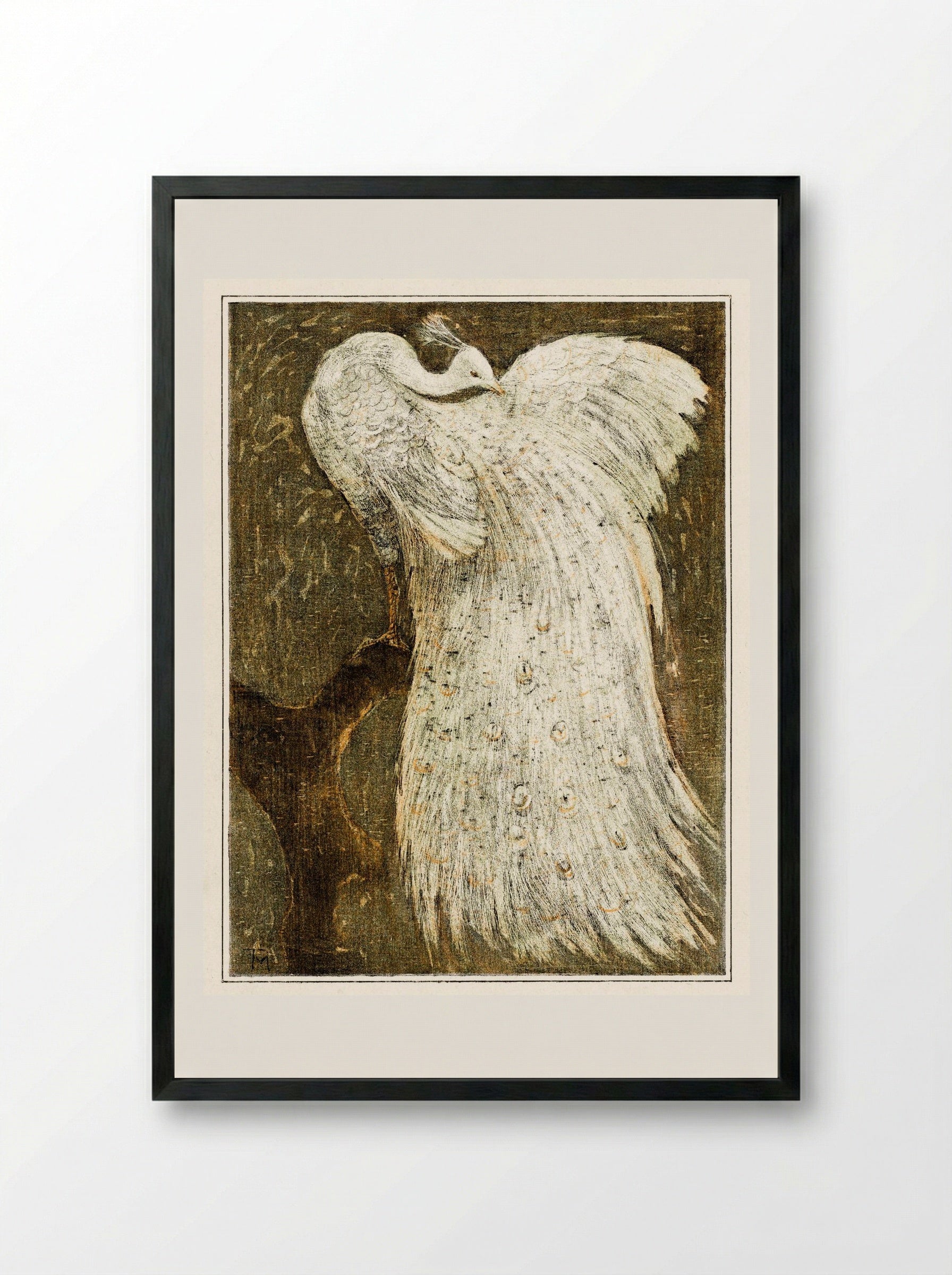 White Peacock on a Branch - Theo van Hoytema - Framed Print Black