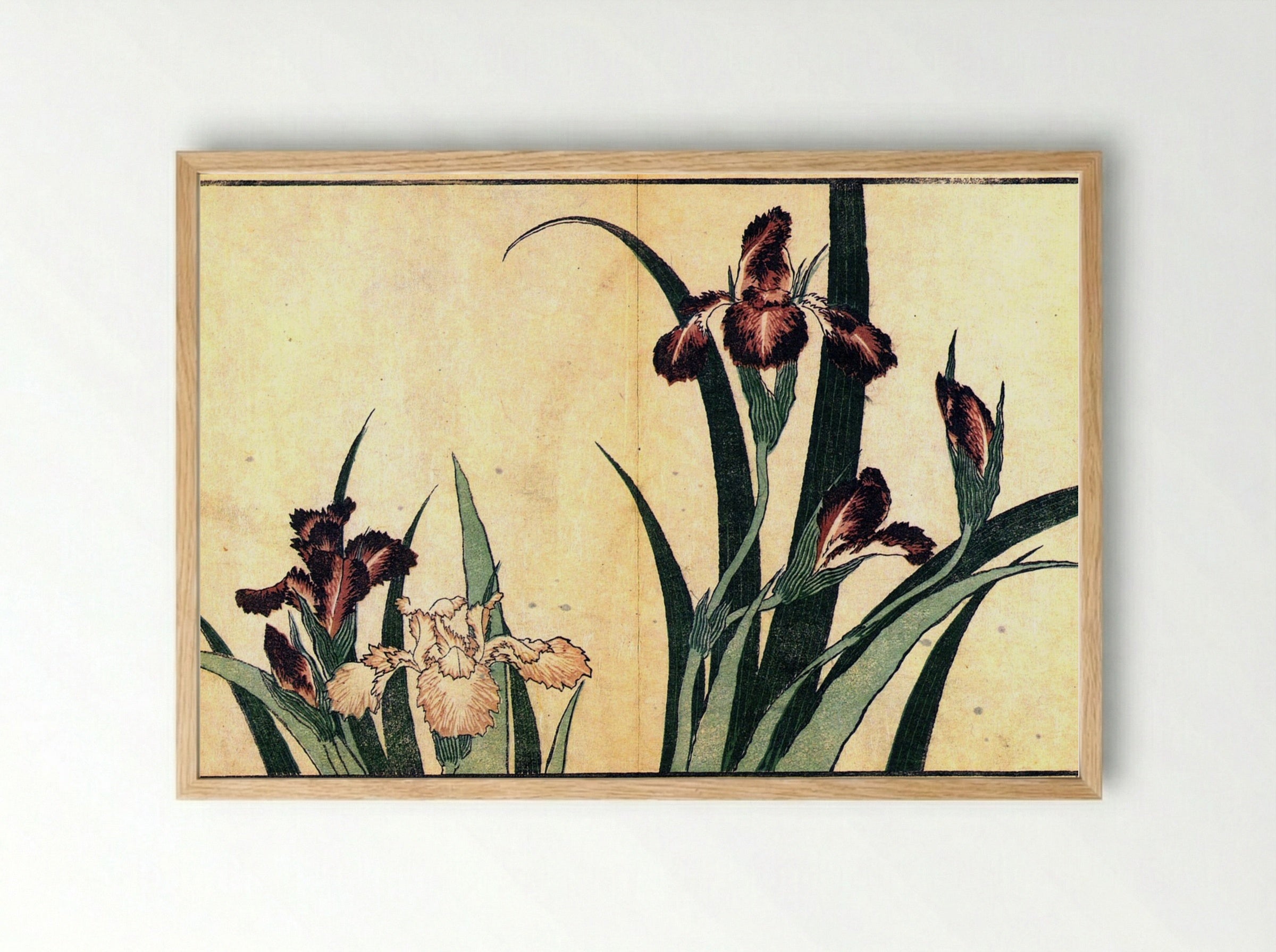 Irises - Fine Art Print - Framed Print Wood