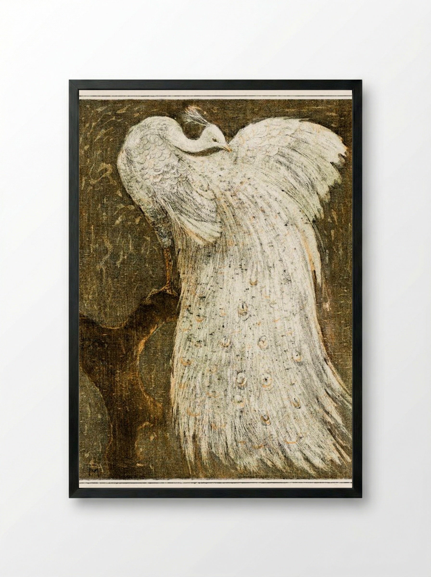 White Peacock on a Branch - Theo van Hoytema - Framed Print Black