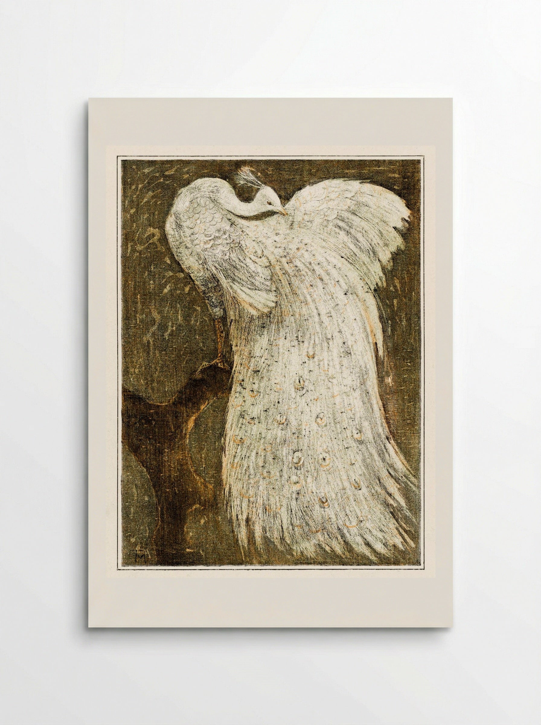 White Peacock on a Branch - Theo van Hoytema - Poster