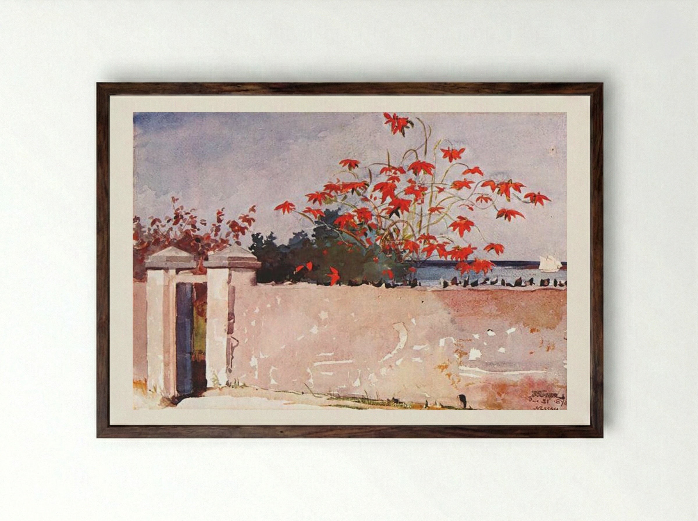 A Wall, Nassau - Winslow Homer - Framed Print Dark Wood