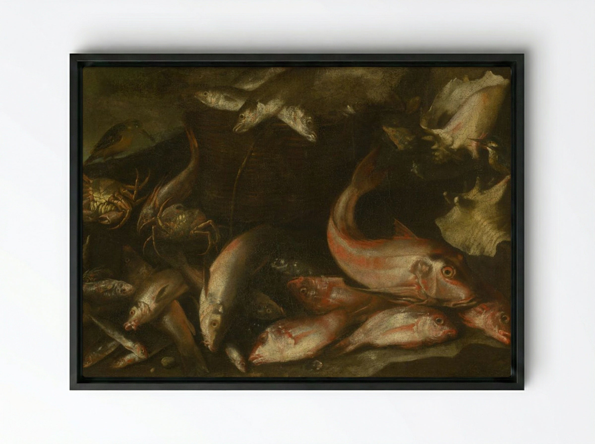 Still Life with Fish, Crabs, and Shells - Fine Art Print - Framed Canvas Black