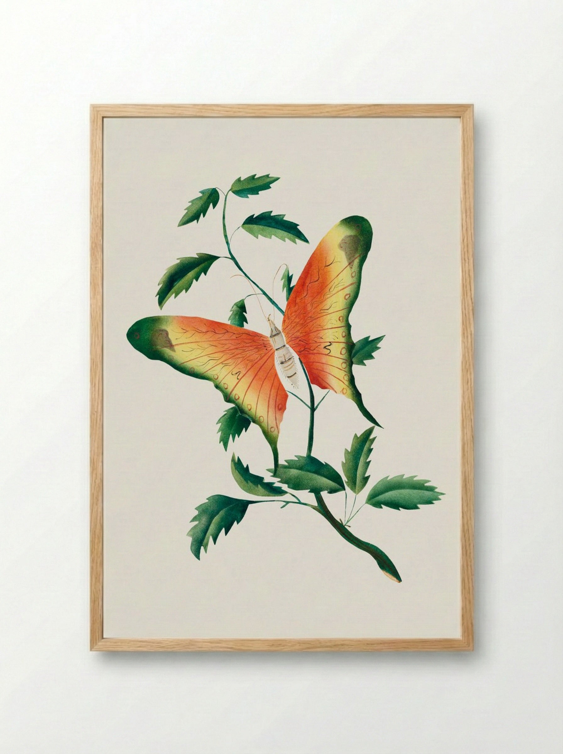 Rose Bush and Butterfly - Mary Altha Nims - Framed Print Wood