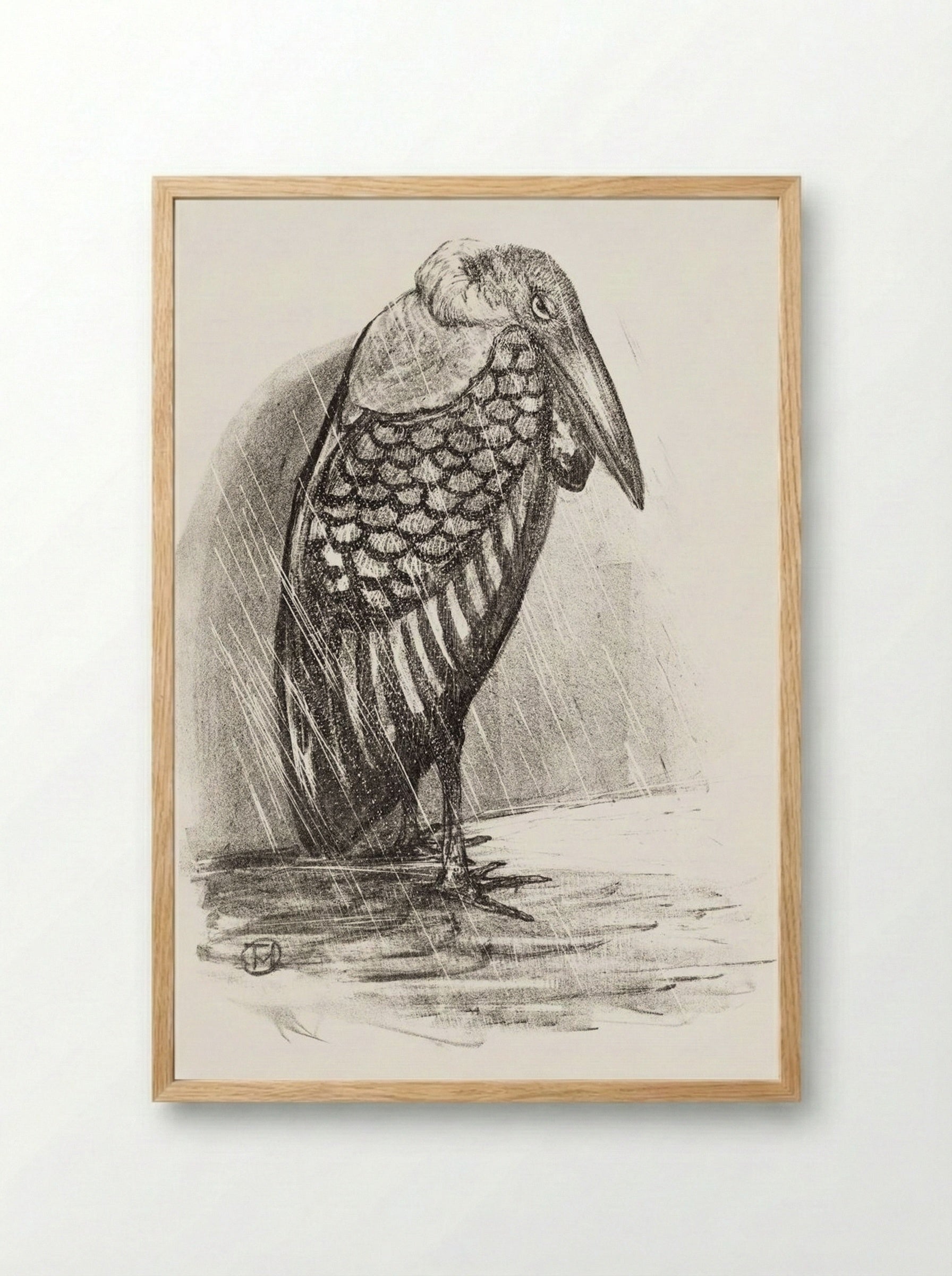 Marabou in the Rain - Theo van Hoytema - Framed Print Wood