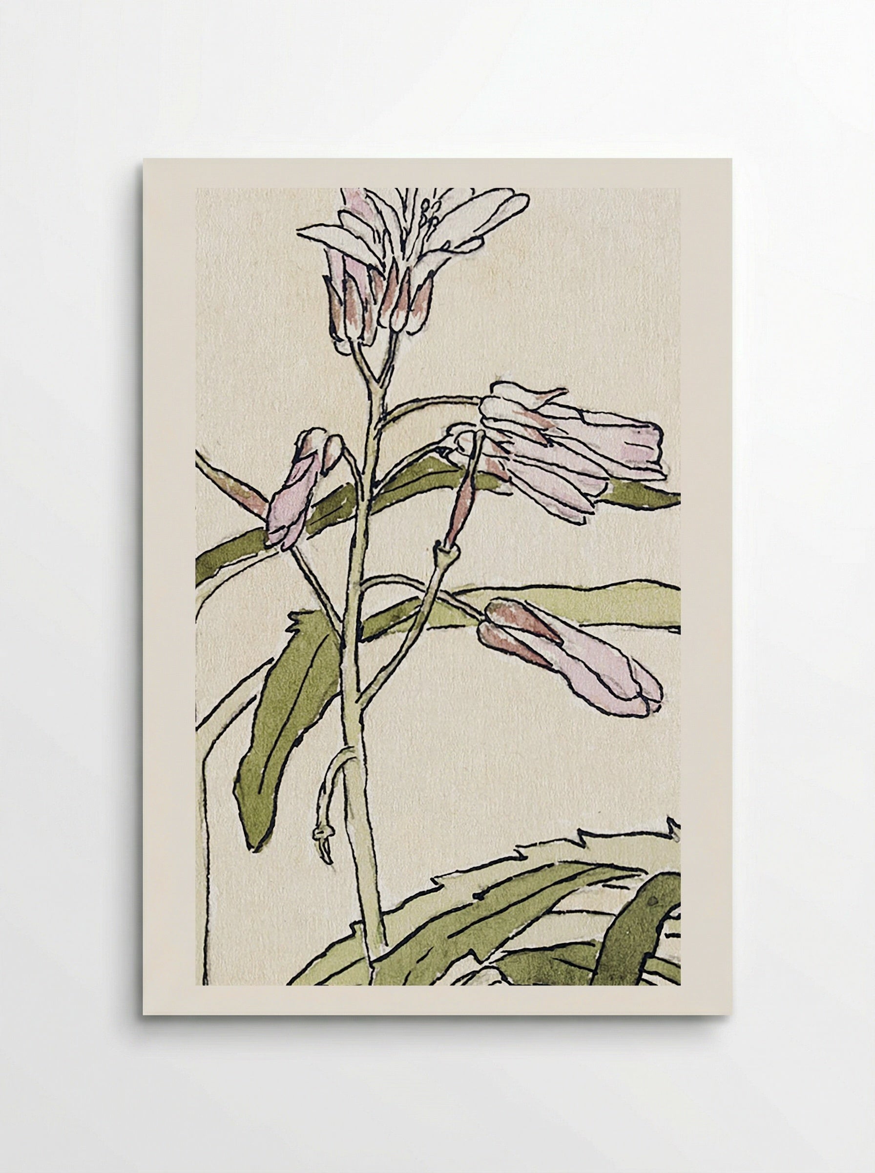 Pink Flowers with Spiky Green Leaves (1915) - Hannah Borger Overbeck - Poster