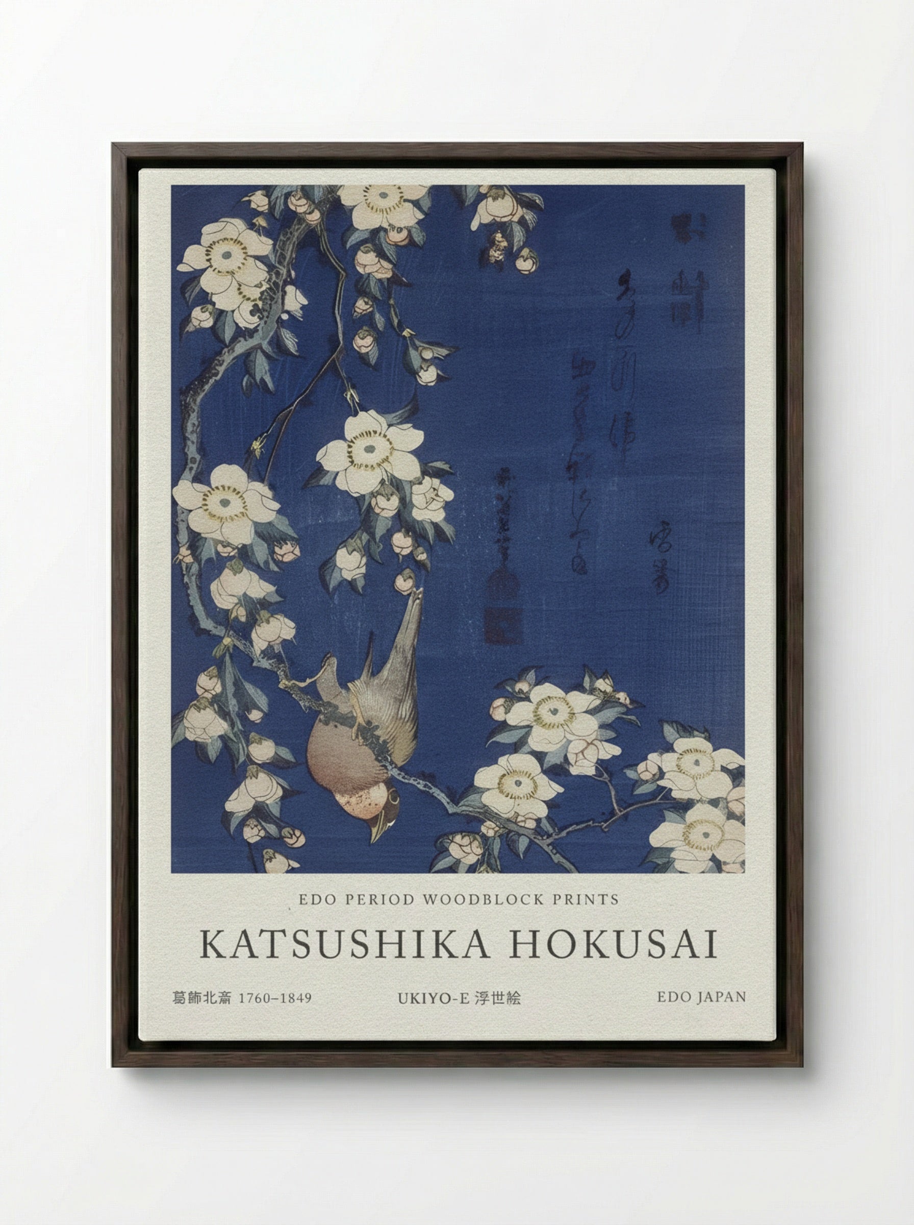 Bullfinch and Weeping Cherry Blossoms – Fine Art Print