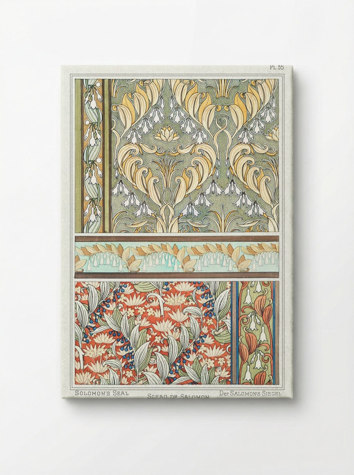 Sceau de Salomon (Solomon's Seal) from La Plante et ses Applications ornementales - Maurice Pillard Verneuil - Canvas