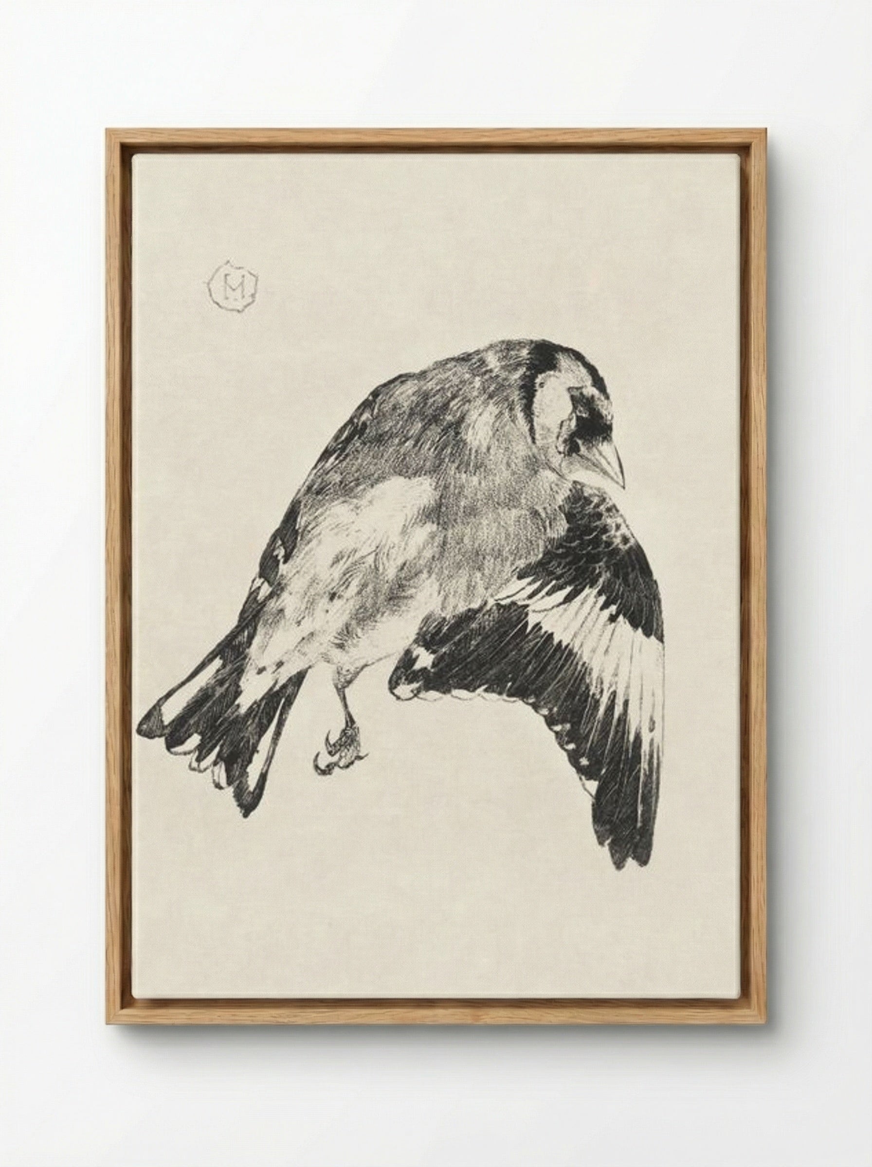 Goldfinch (Study of a Bird in Flight) - Theo van Hoytema - Framed Canvas Wood