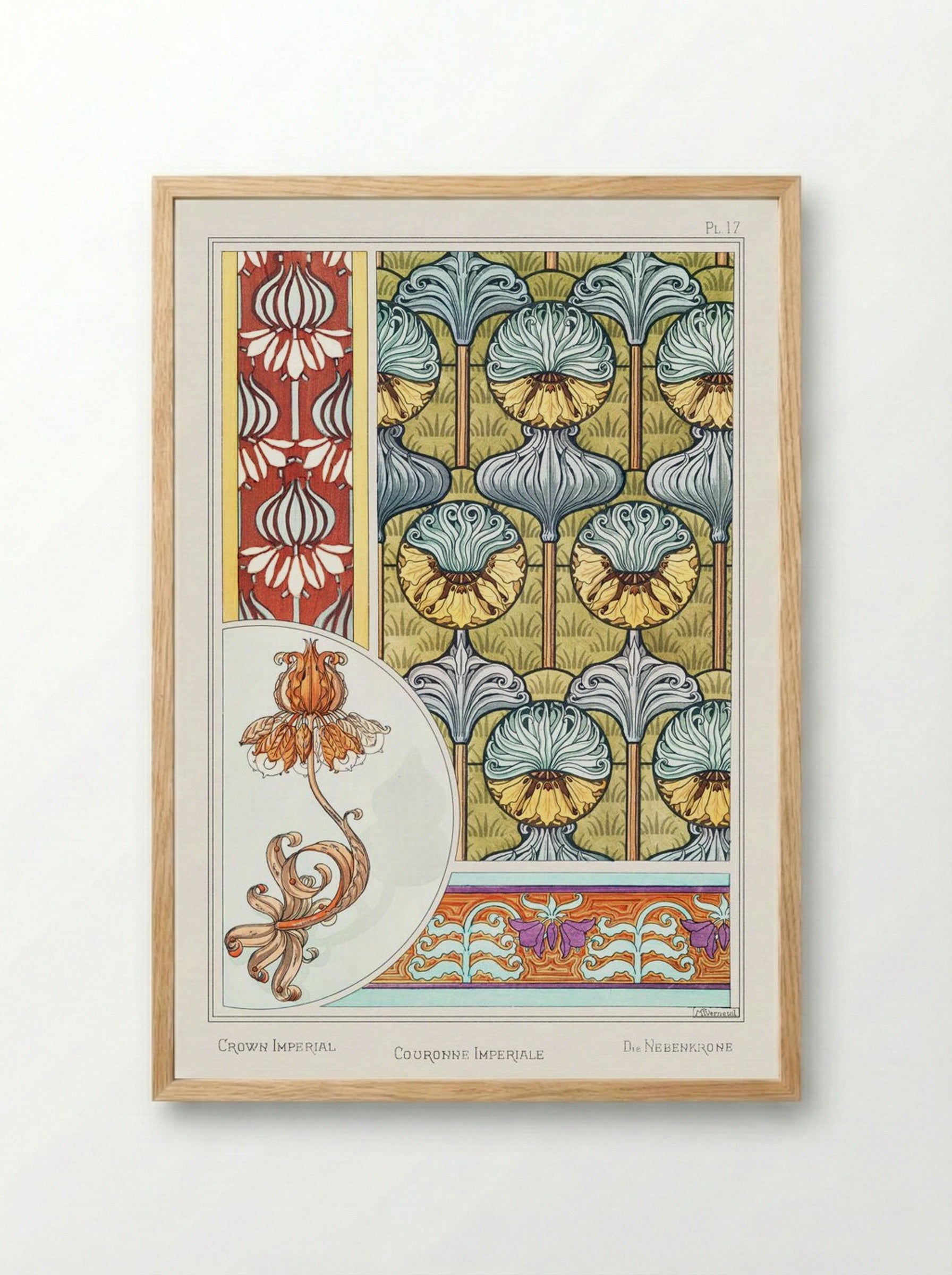 Couronne Impériale (Crown Imperial) from La Plante et ses Applications ornementales - Maurice Pillard Verneuil - Framed Print Wood