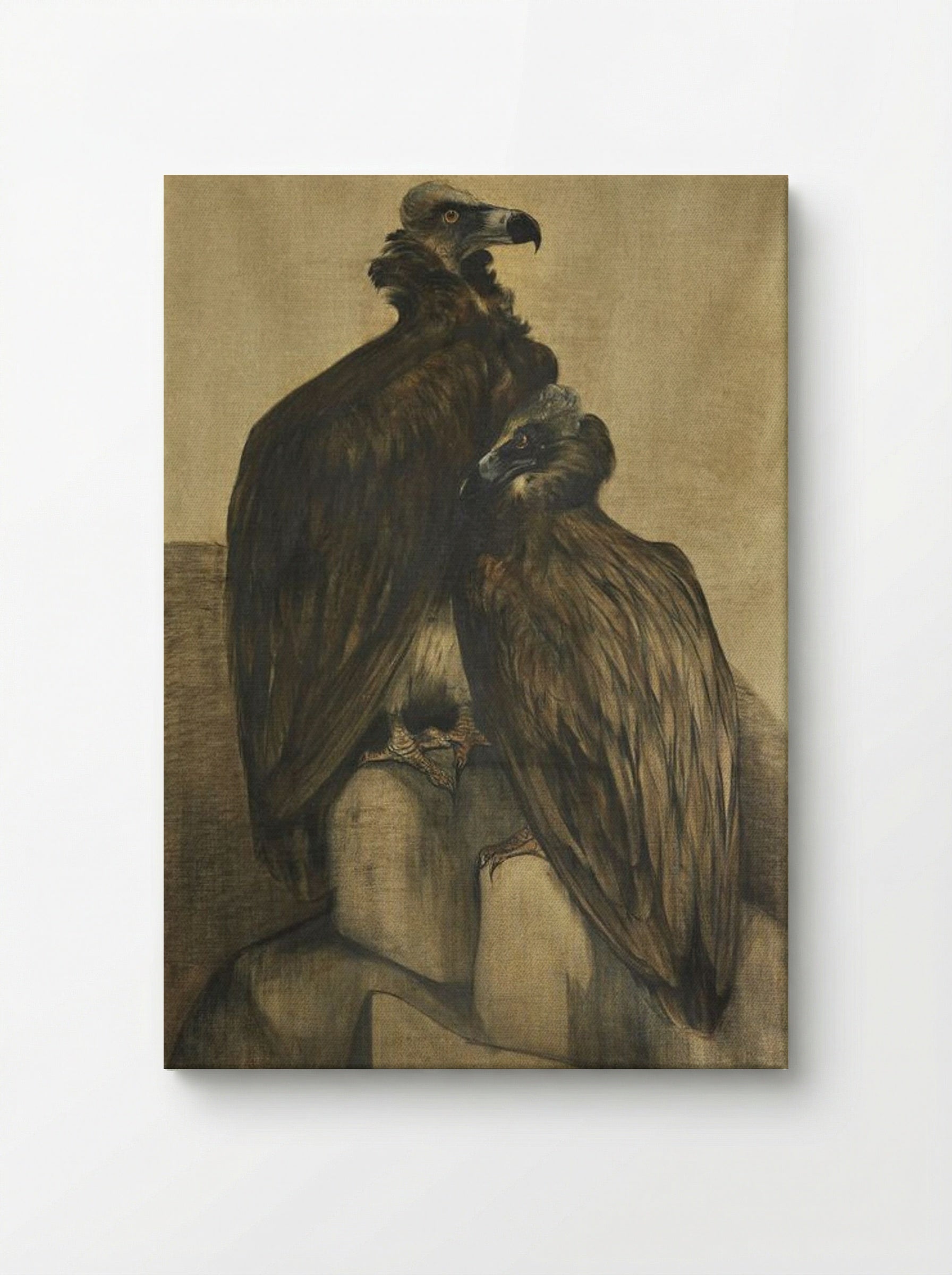 Two Arabian Vultures - Theo van Hoytema - Canvas