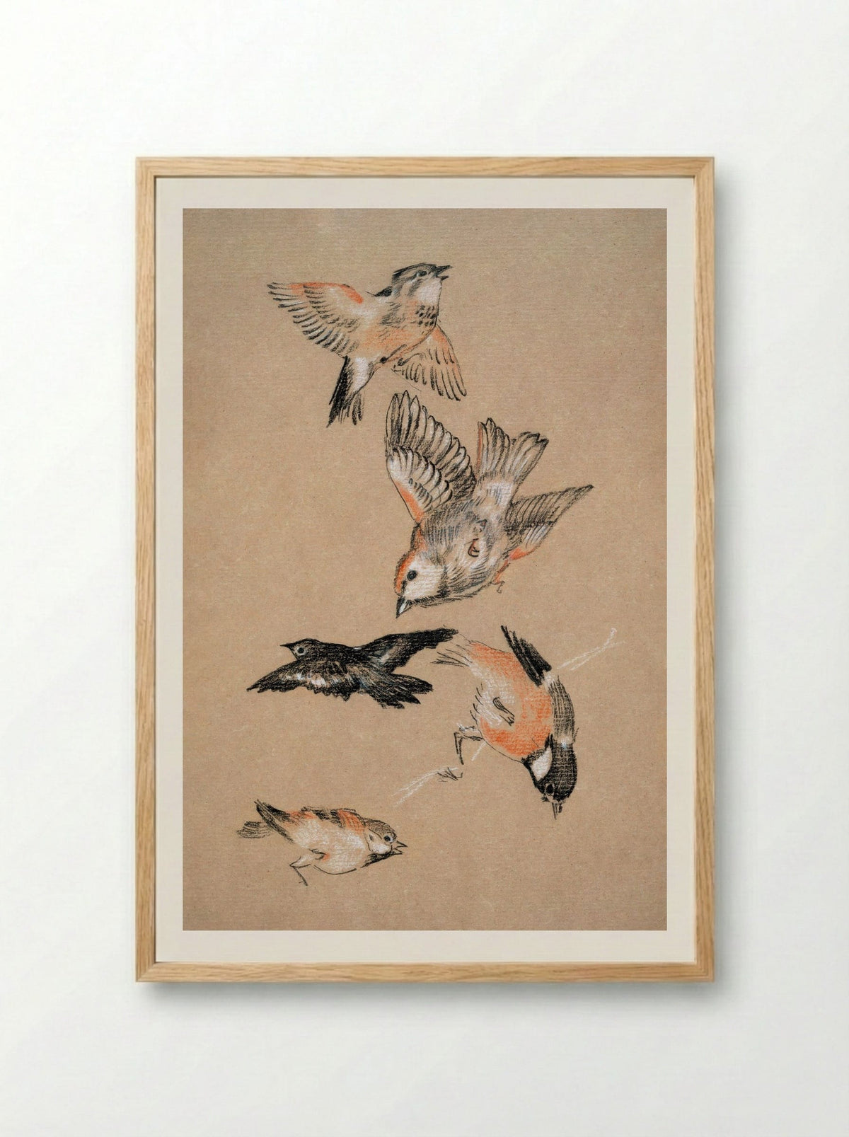 Study of Finches (for 'Love Leading the Pilgrim') - Edward Burne-Jones - Framed Print Wood