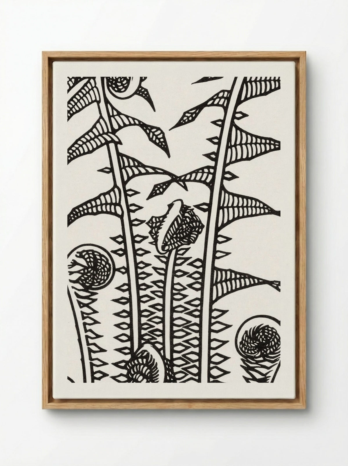 Ferns - Julie de Graag - Framed Canvas Wood