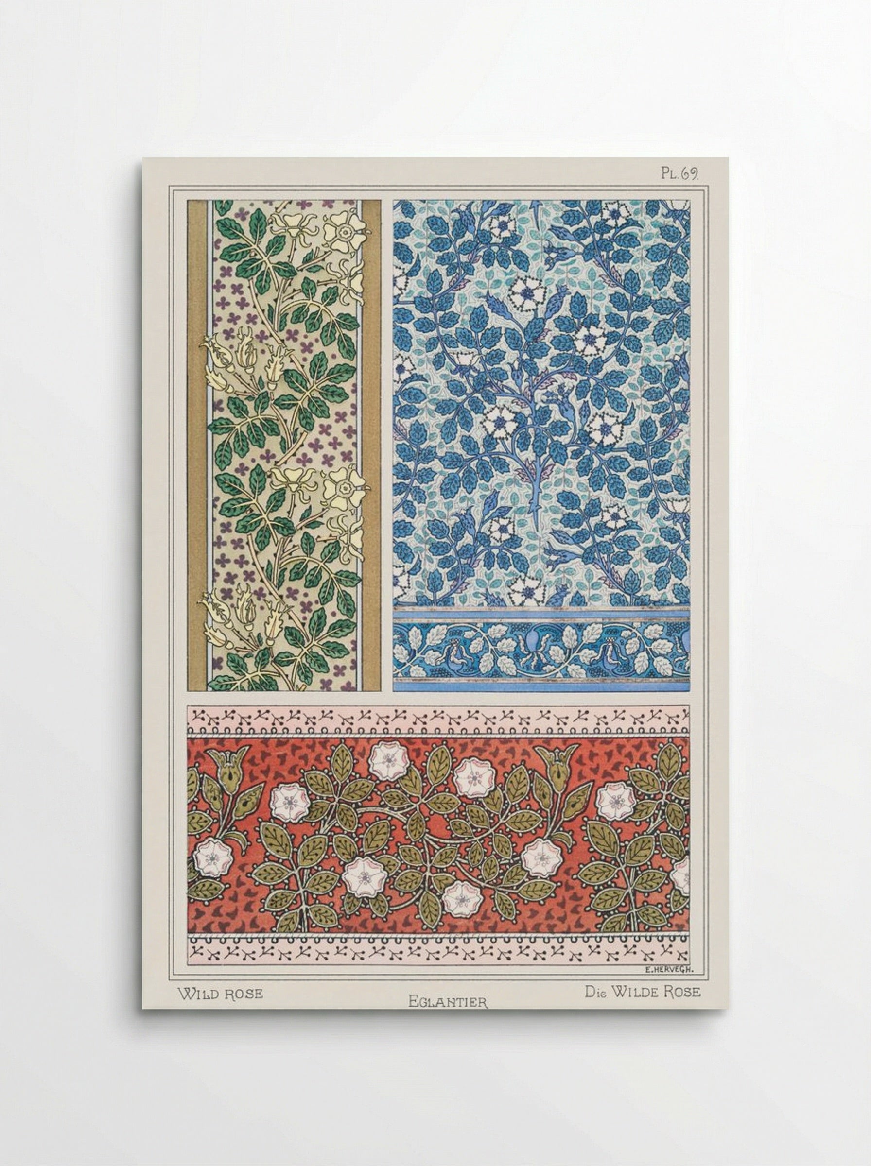 Eglantier (Wild Rose) from La Plante et ses Applications ornementales - Maurice Pillard Verneuil - Poster