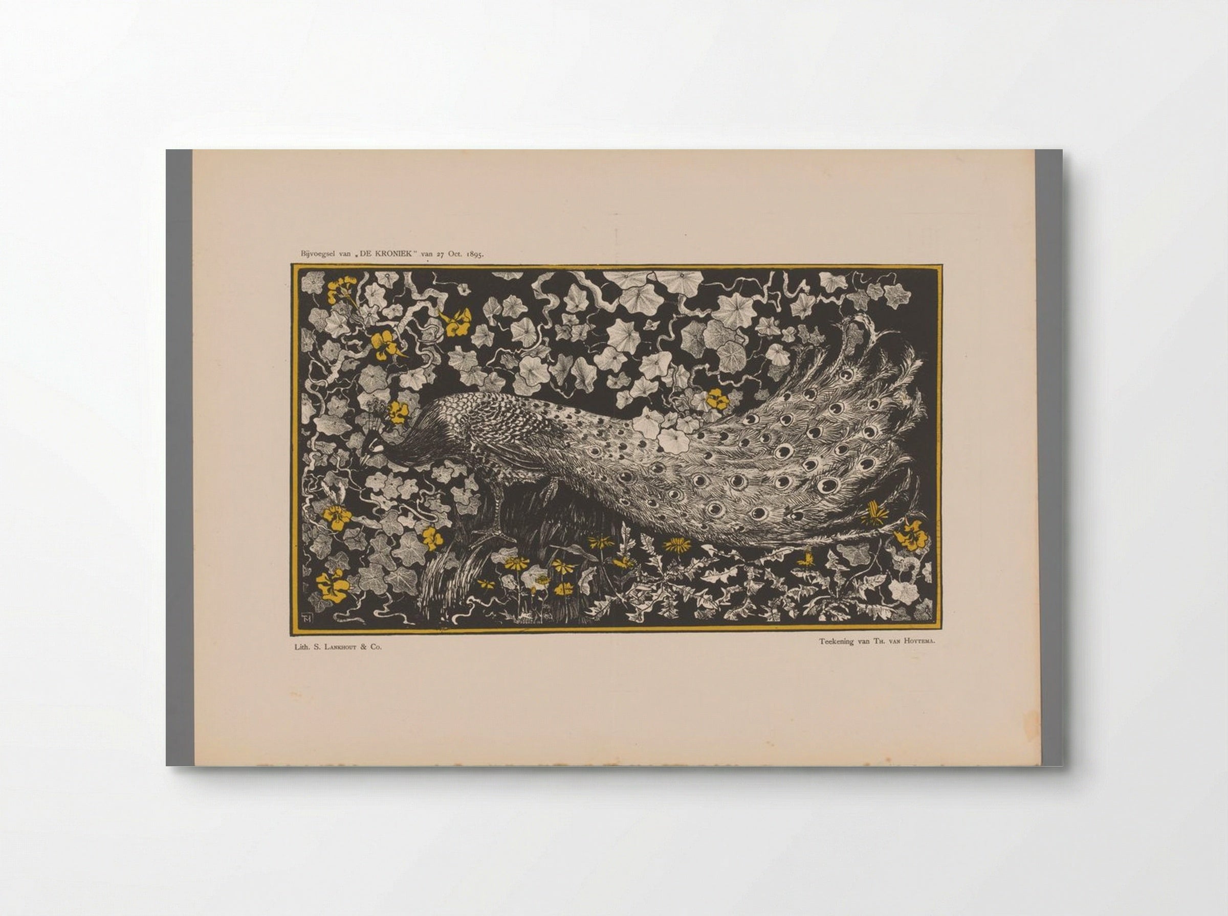 Pauw (Peacock Design) - Theo van Hoytema - Poster