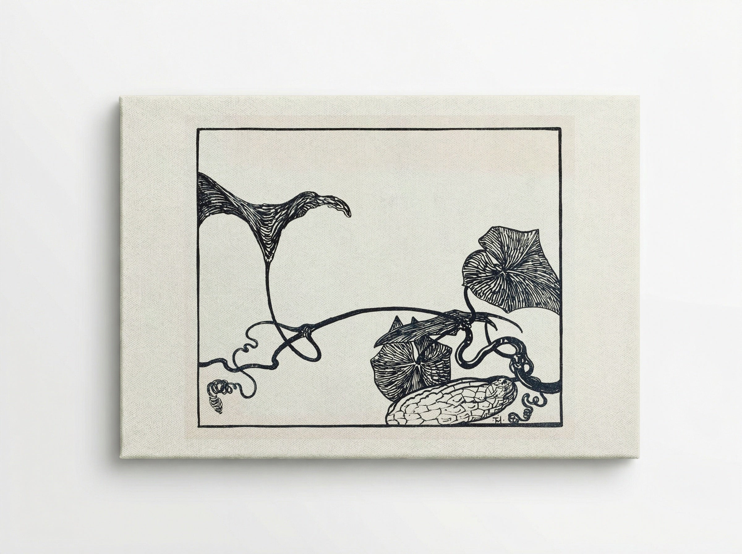Augurkenplant (Gherkin Plant) - Theo van Hoytema - Canvas