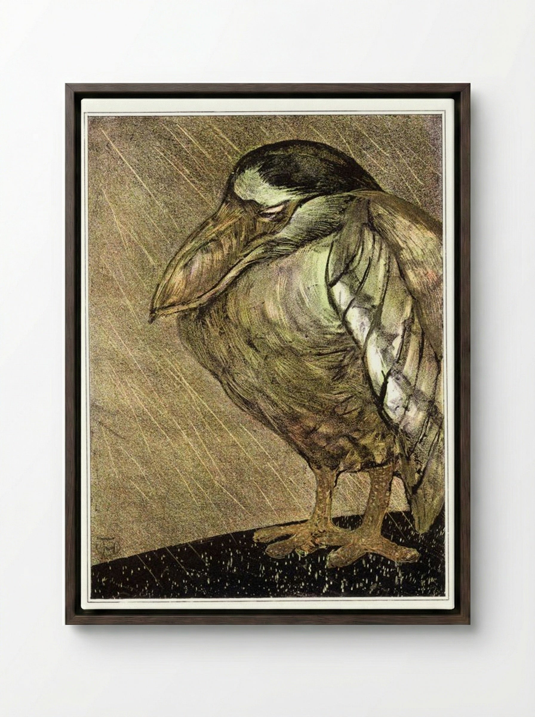 Schuitbekreiger in de regen (Night Heron in the Rain) - Theodorus van Hoytema - Framed Canvas Dark Wood