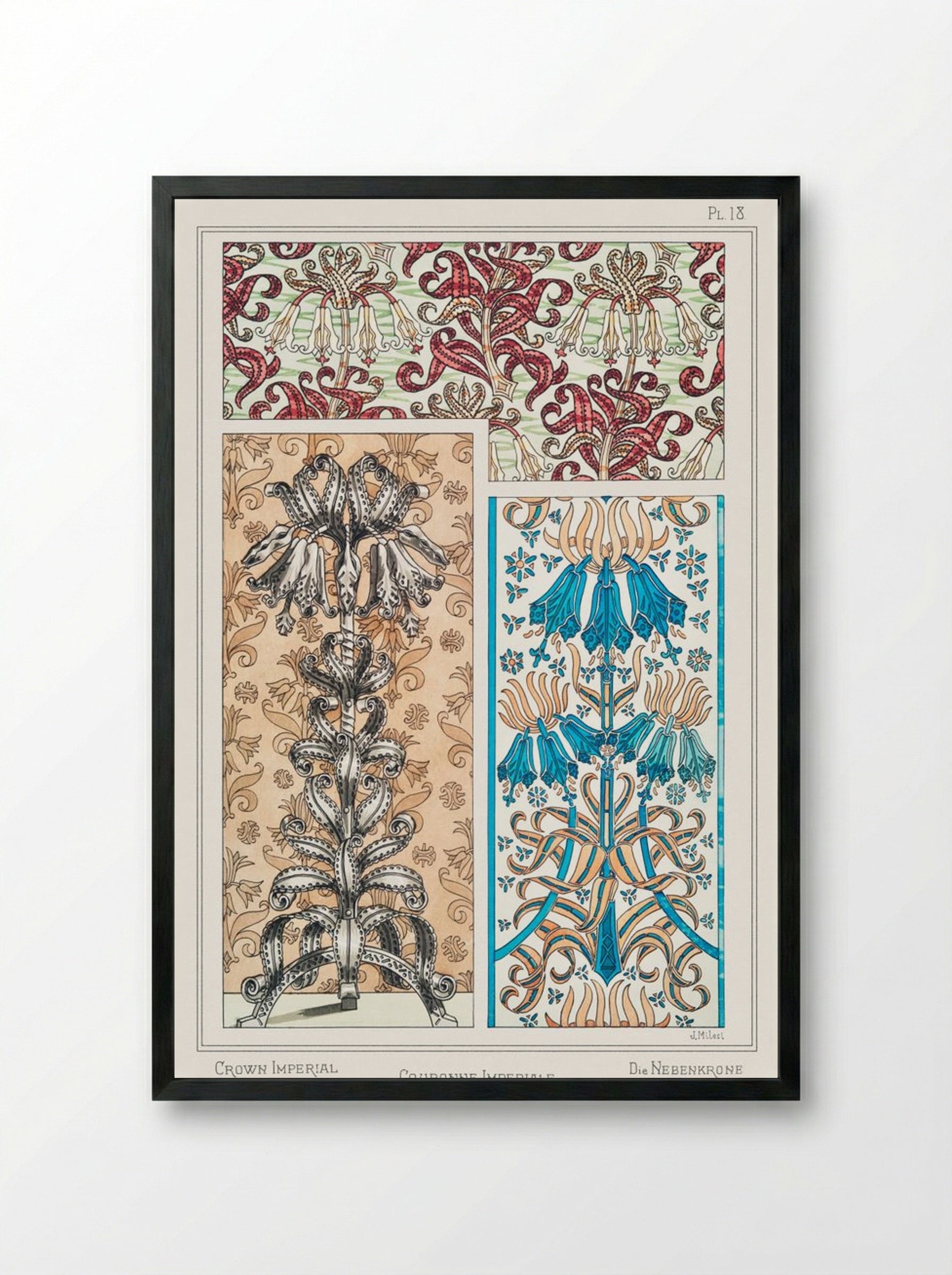 Couronne Impériale (Crown Imperial) from La Plante et ses Applications ornementales - Maurice Pillard Verneuil - Framed Print Black