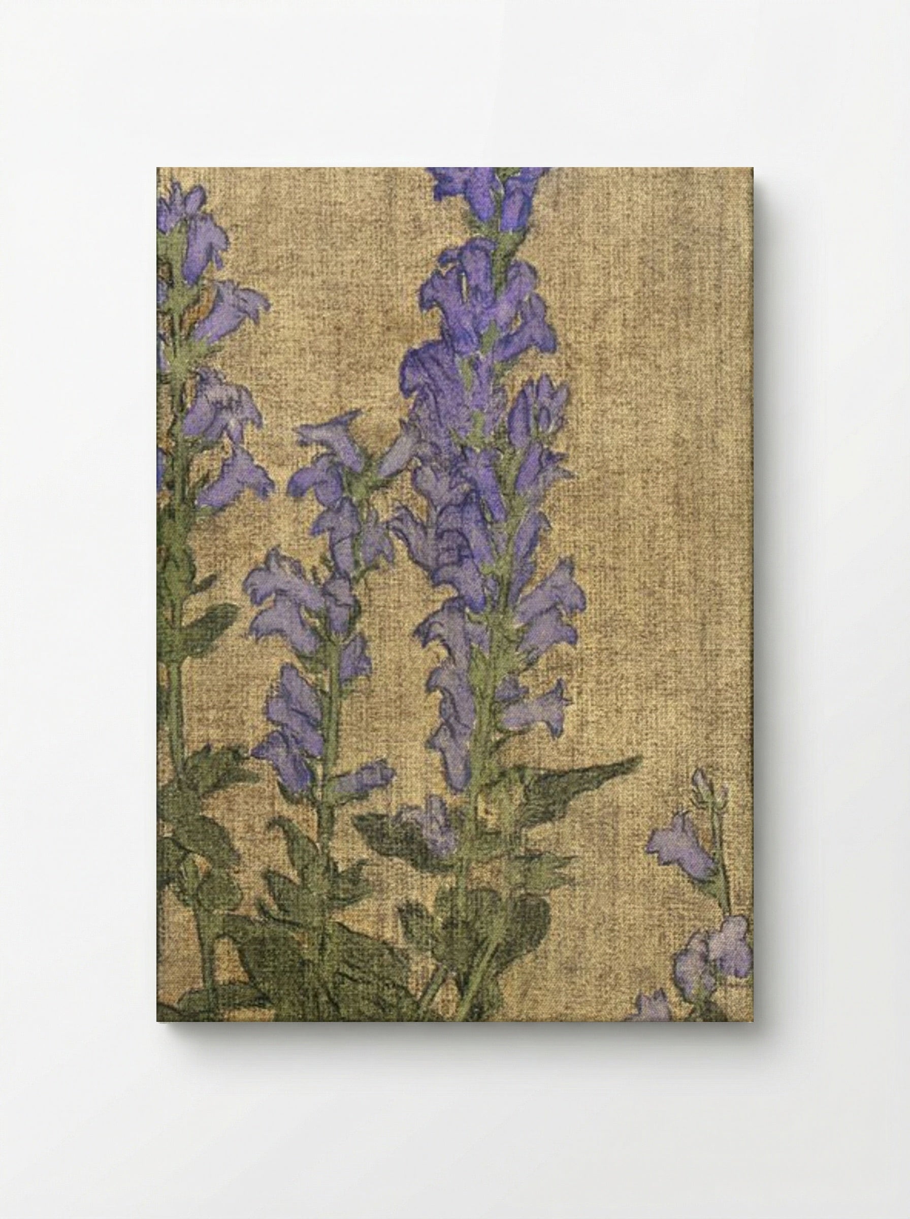 Delphinium - Hannah Borger Overbeck - Canvas