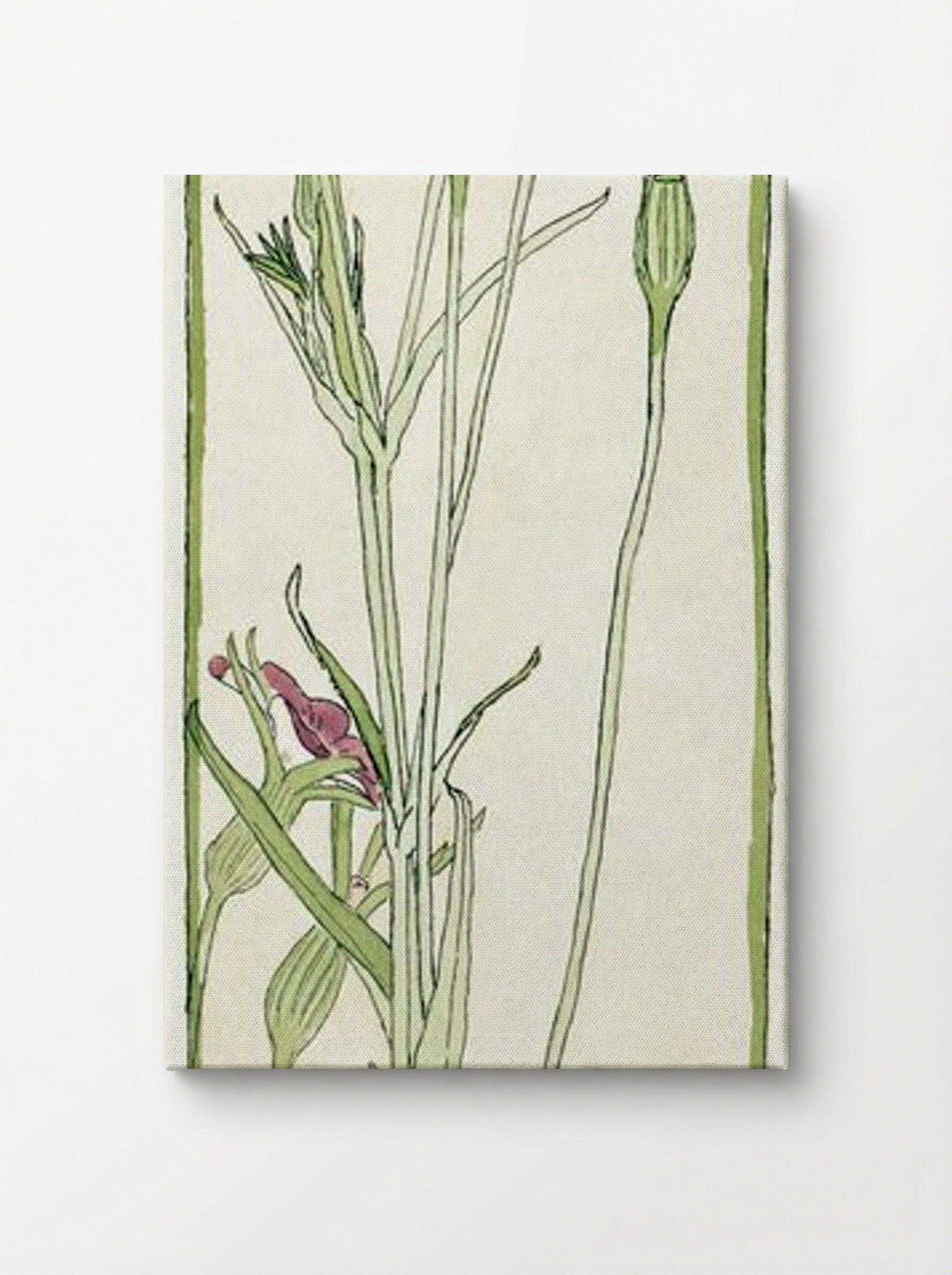 Corn Cockle - Hannah Borger Overbeck - Canvas