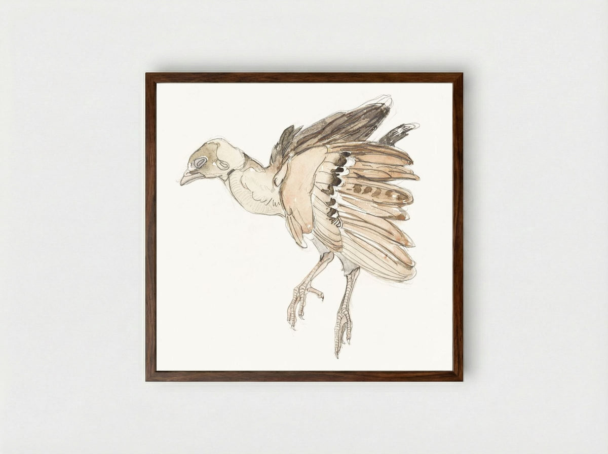 Dood vogeltje (Patrijs) - Theo van Hoytema - Framed Print Dark Wood