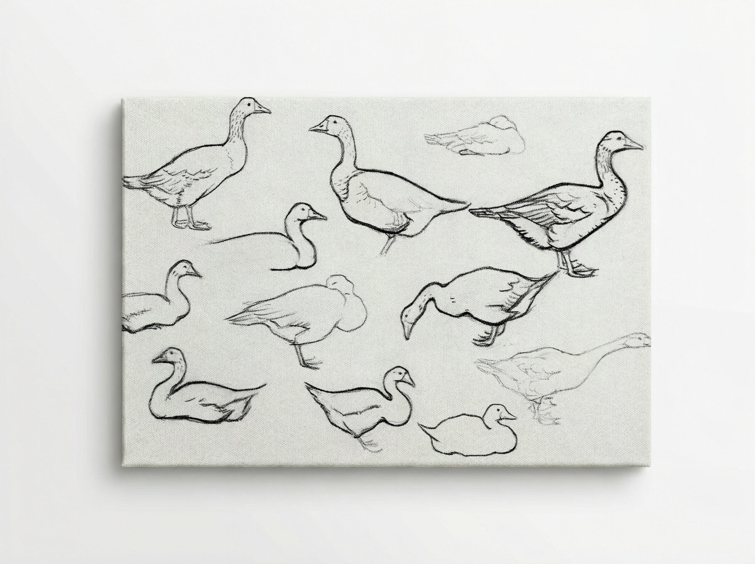 Study of Geese - Julie de Graag - Canvas