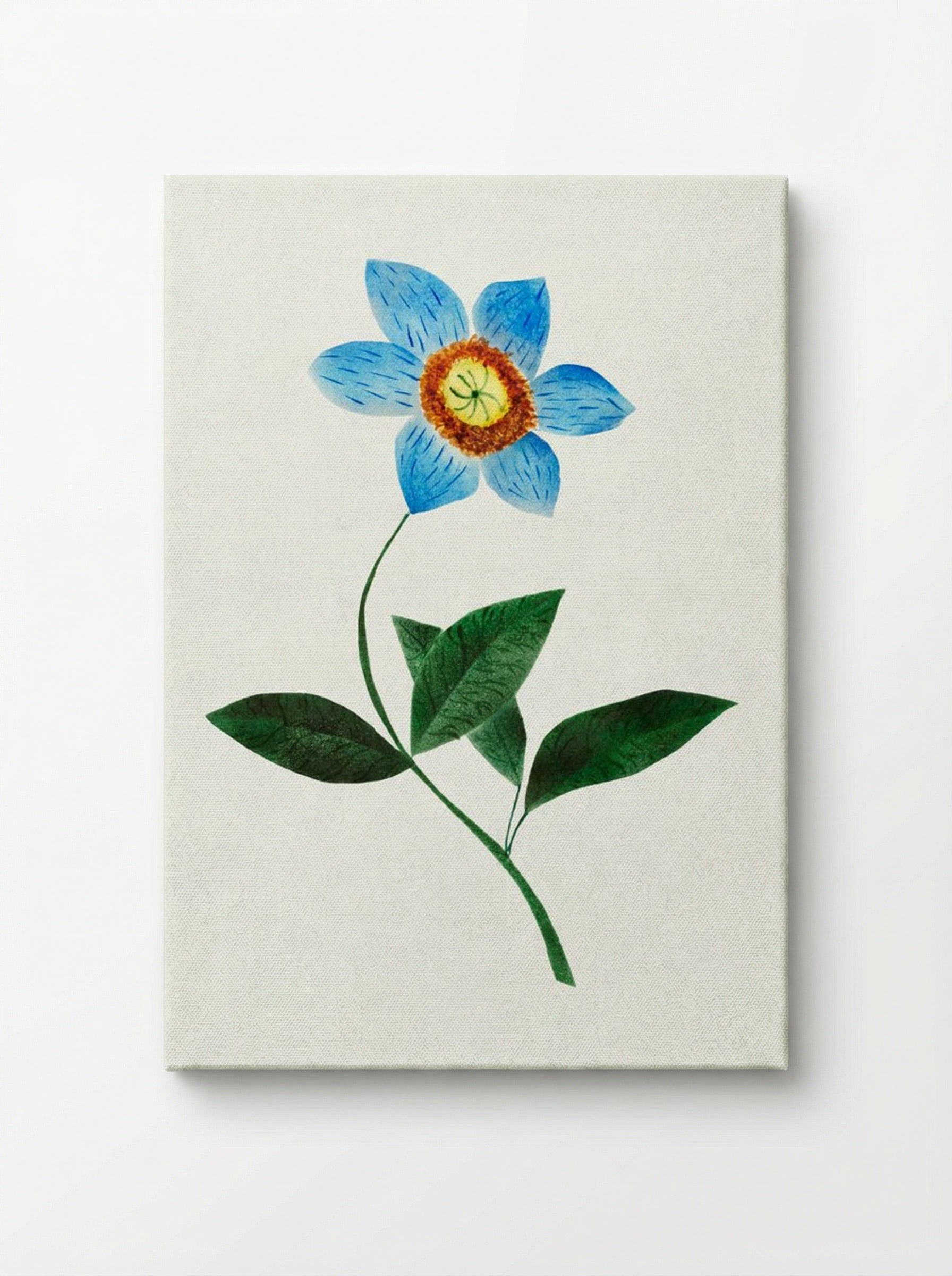 Star Flower - Mary Altha Nims - Canvas