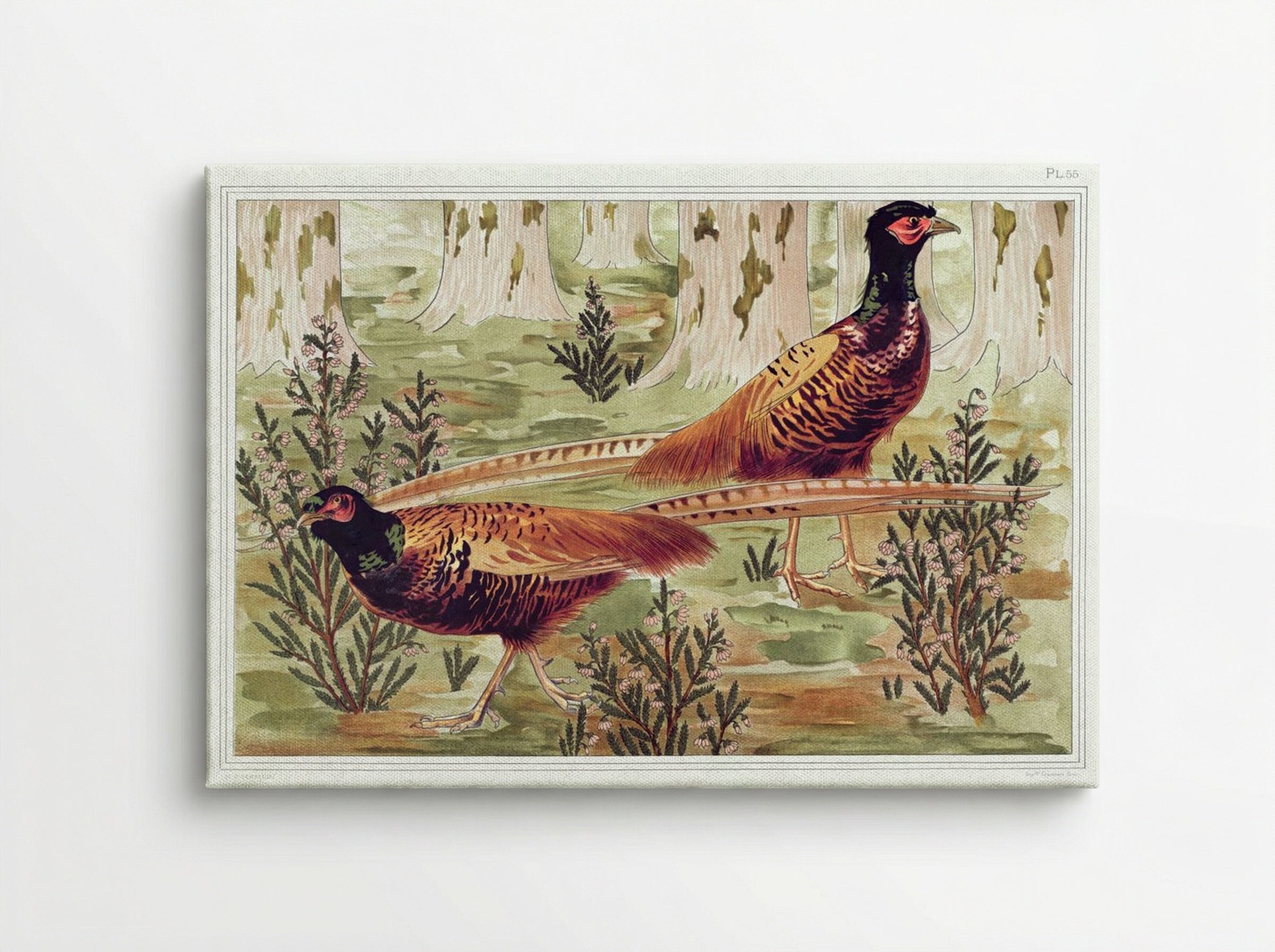 Faisans Ordinaires (Common Pheasants) - Maurice Pillard Verneuil - Canvas