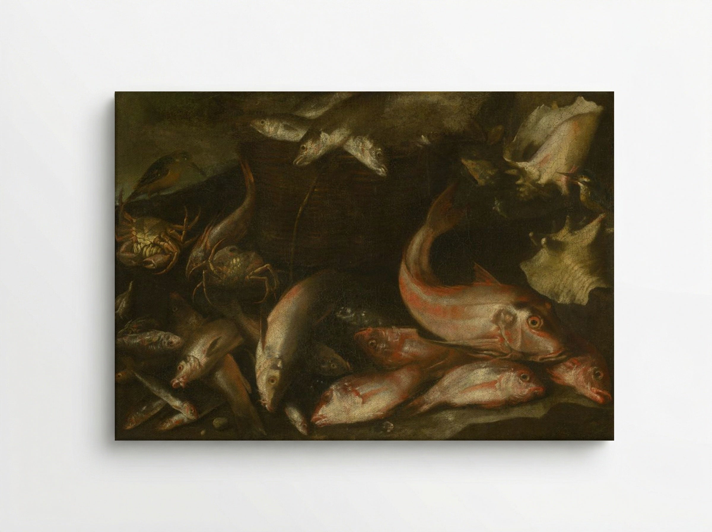 Still Life with Fish, Crabs, and Shells - Fine Art Print - Canvas