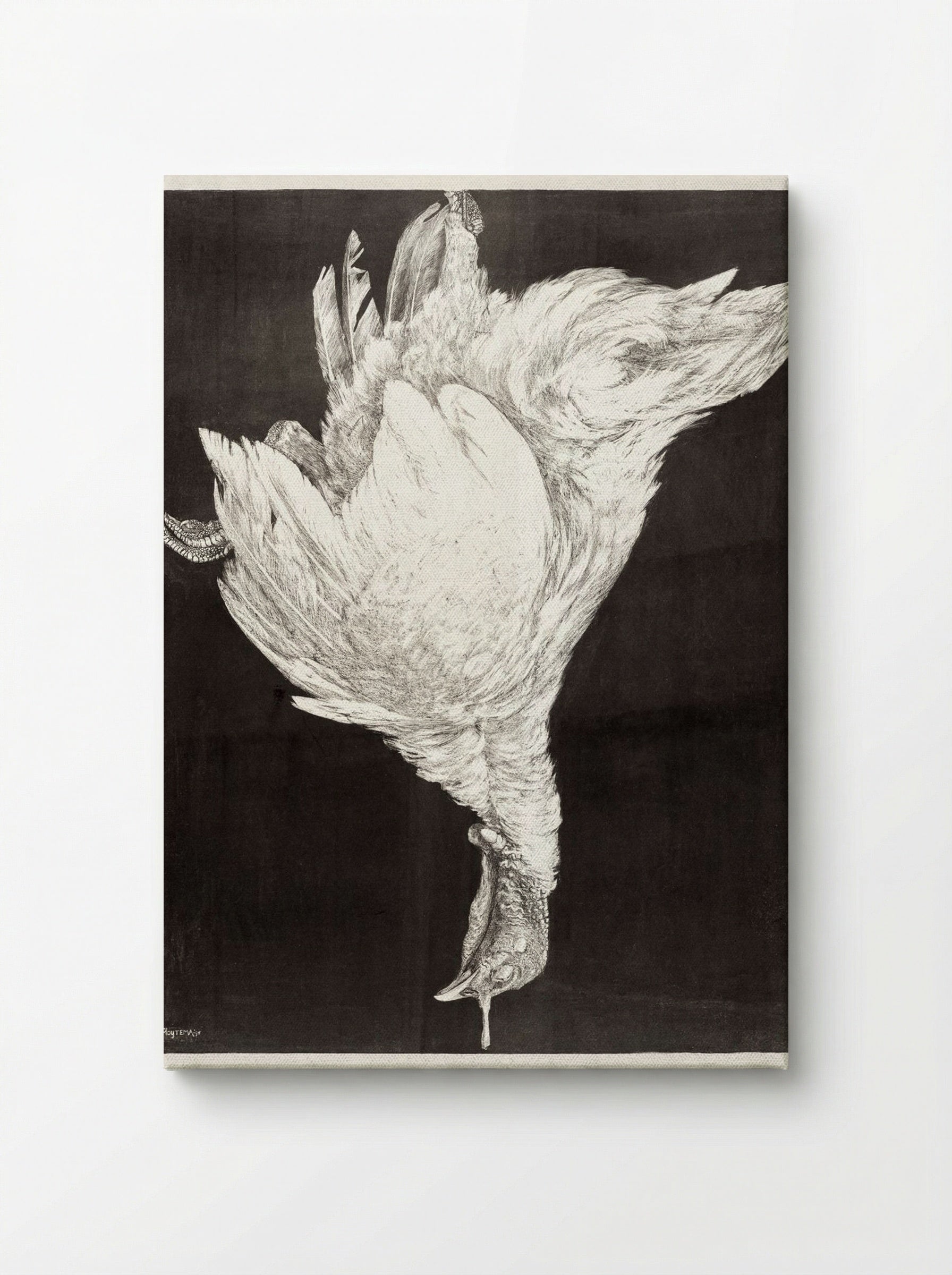 Dead Turkey - Theo van Hoytema - Canvas
