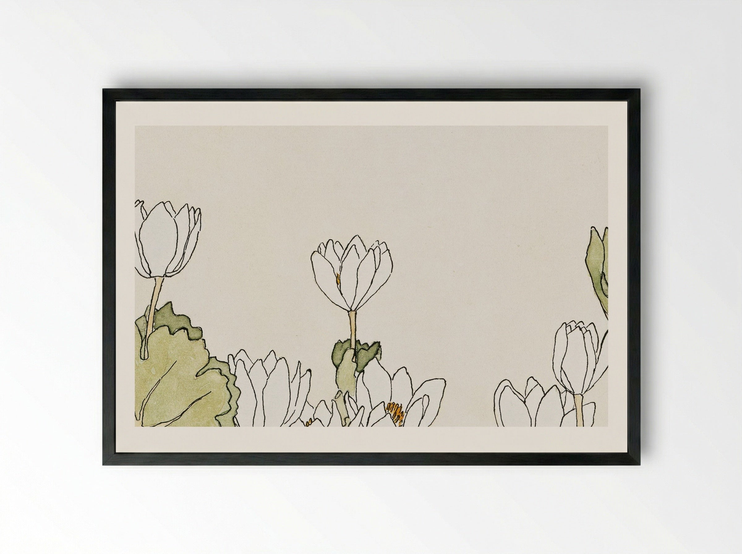 Blood Root (1915) - Hannah Borger Overbeck - Framed Print Black